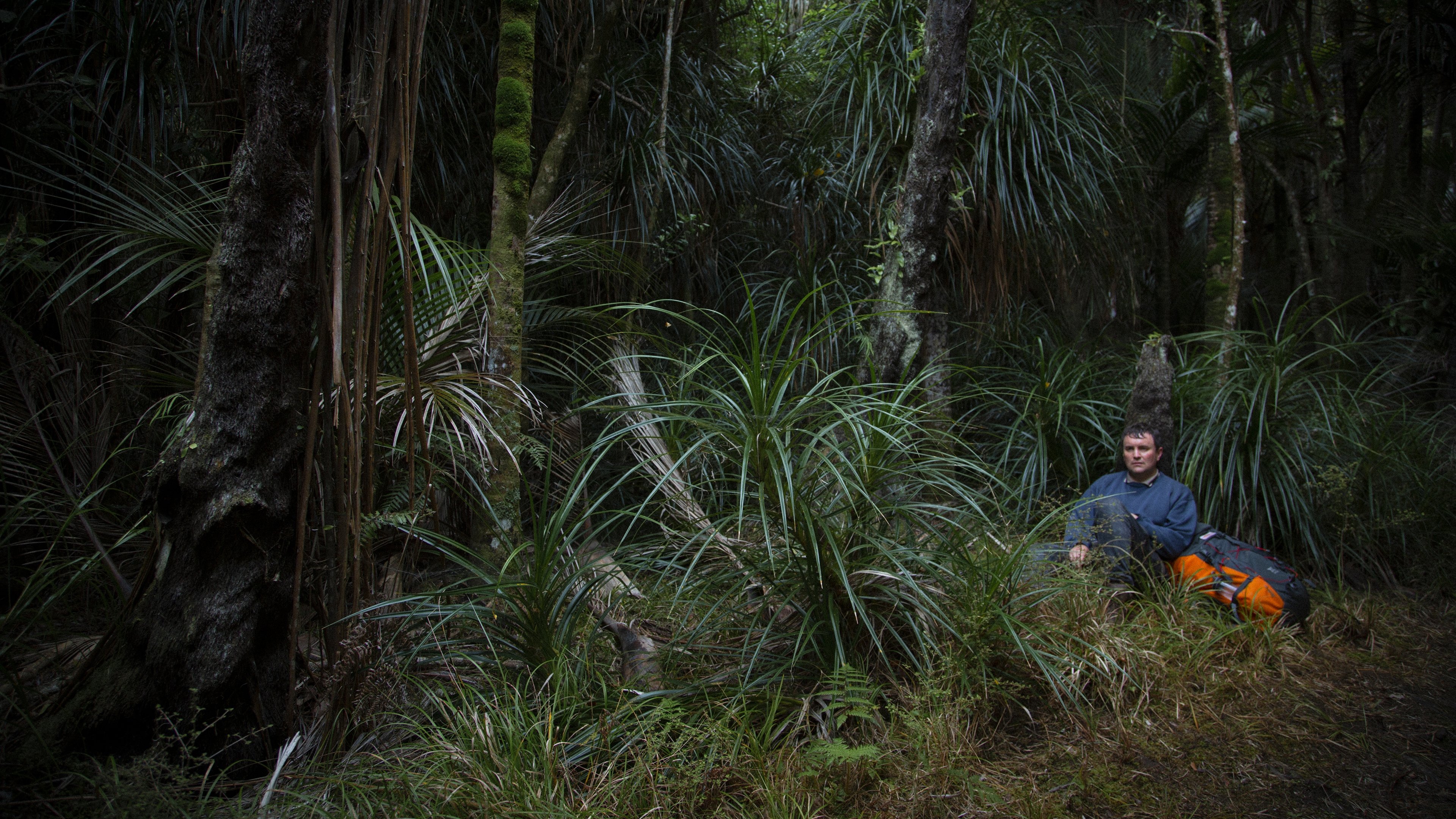 Loop Track - Am Ende lauert der Tod