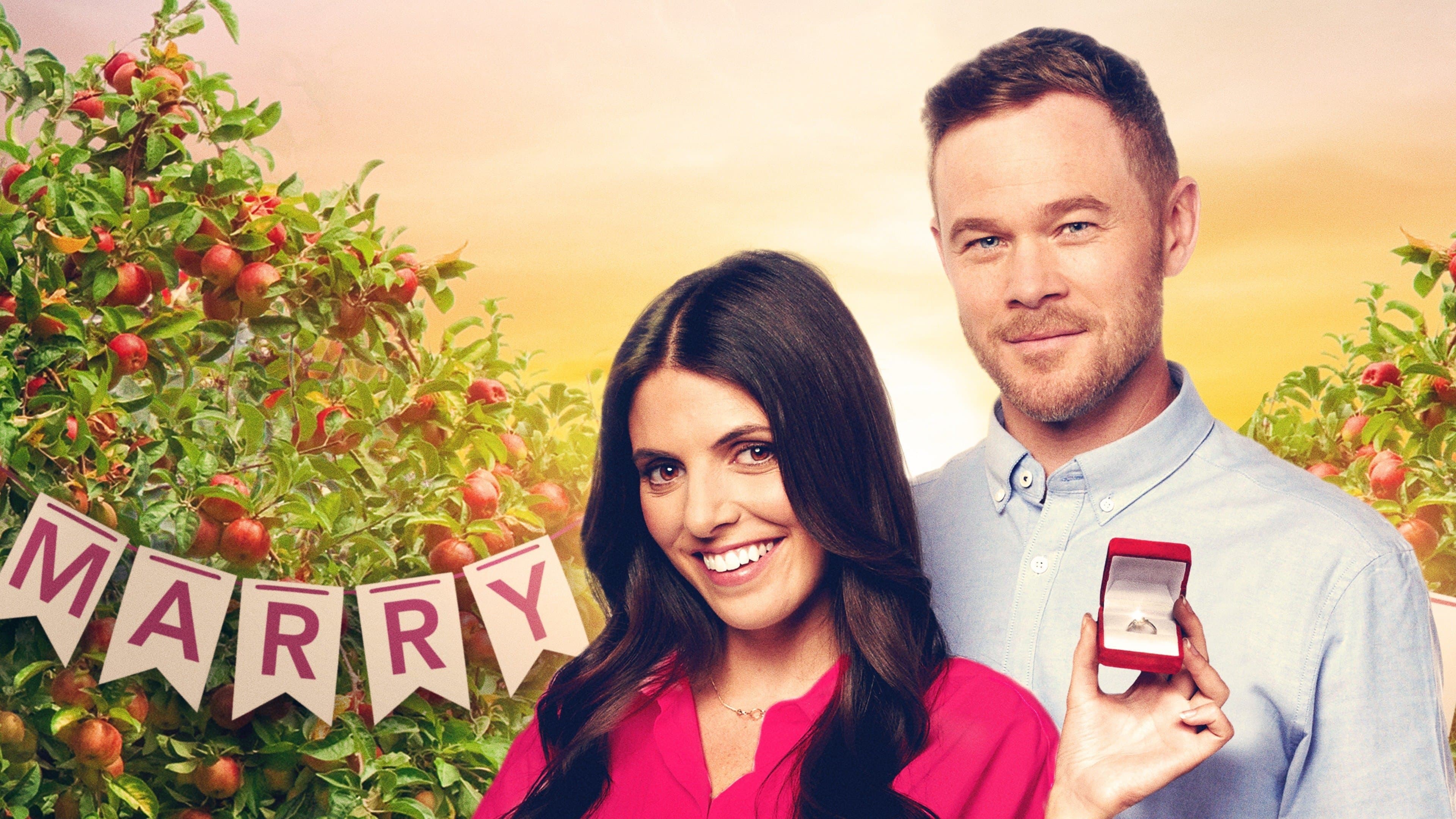 Die Verlobungsplanerin - How To Find Forever