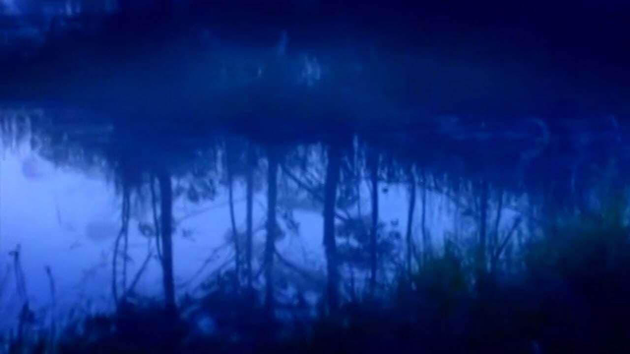 Os Melhores Anos de Nossas Vidas