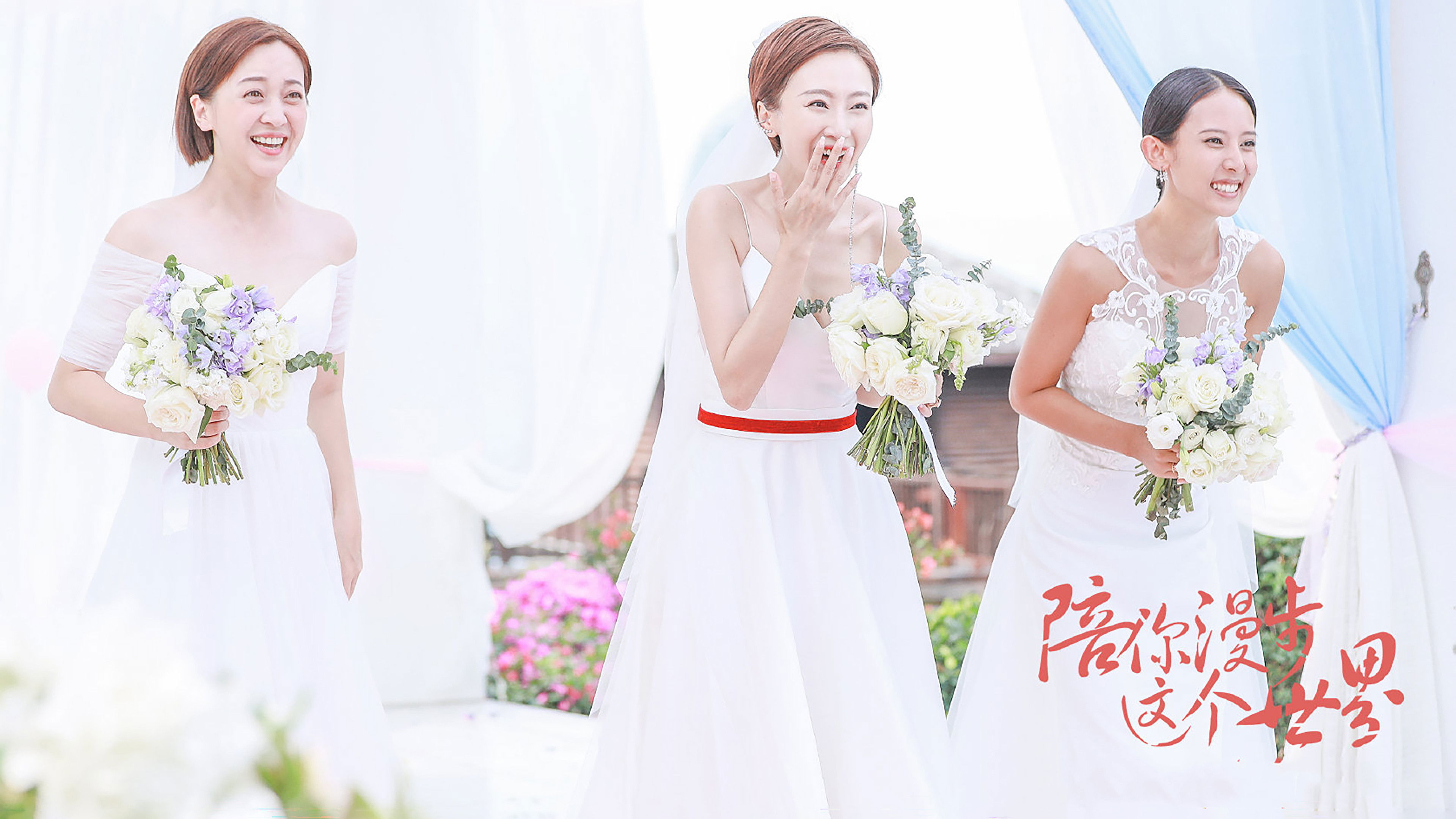 陪你漫步这个世界