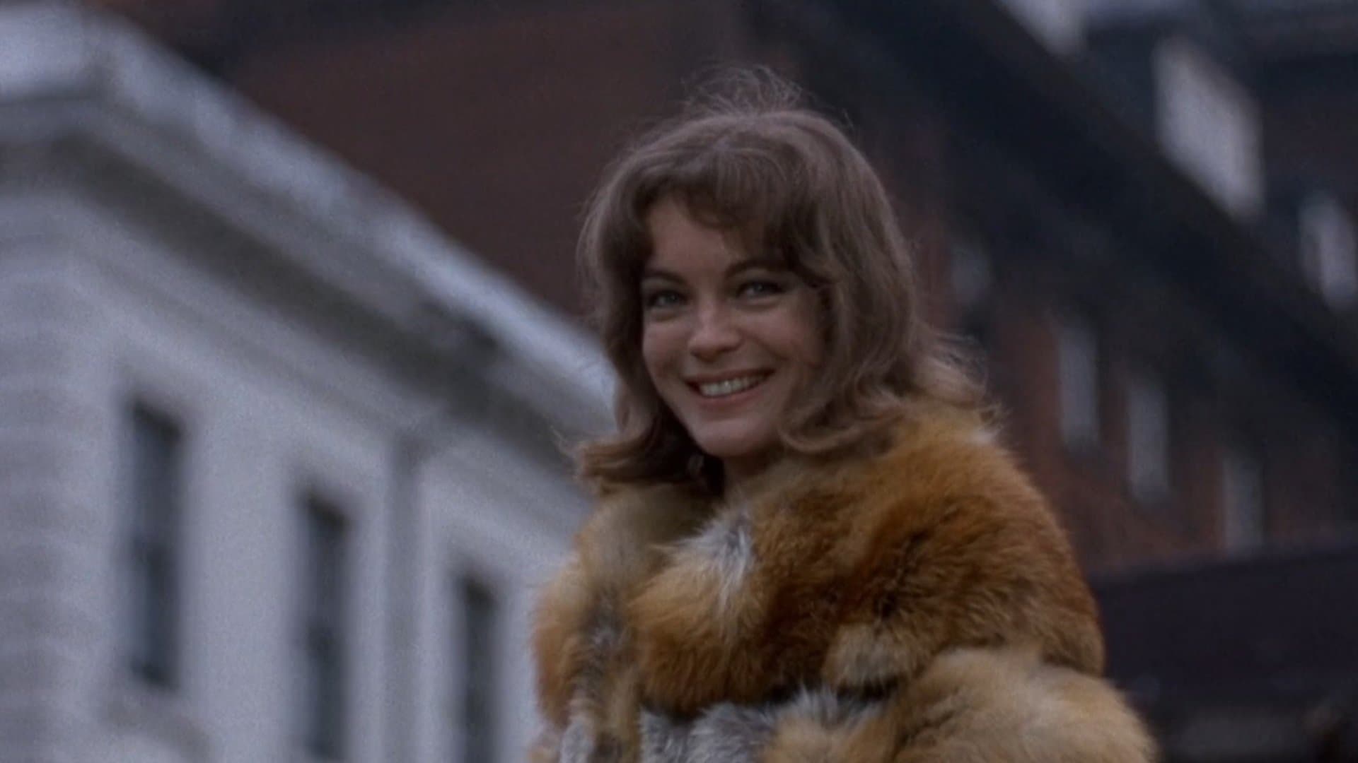 Ein Pechvogel namens Otley