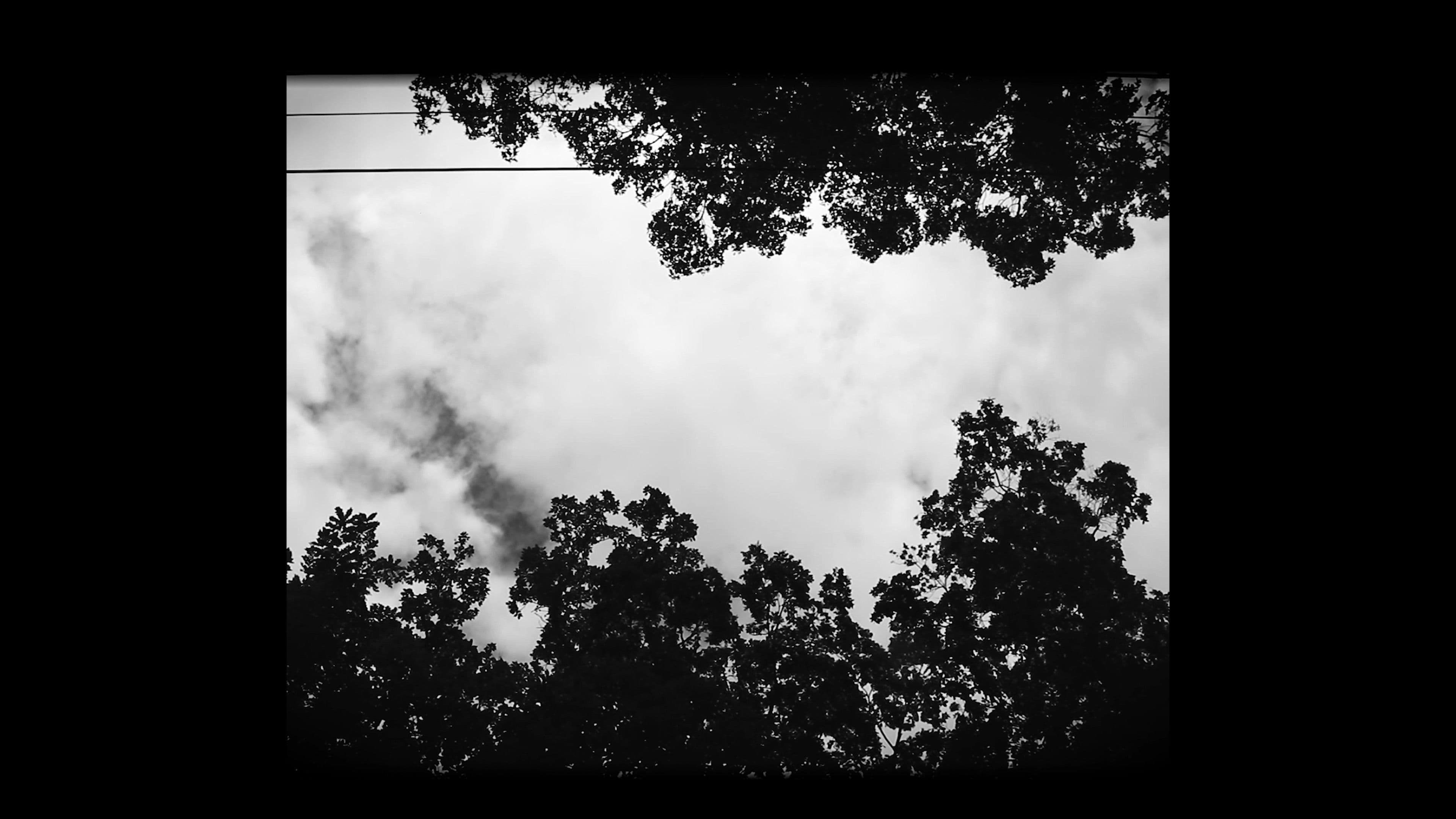 The Way My Eyes Beam When I Look At You