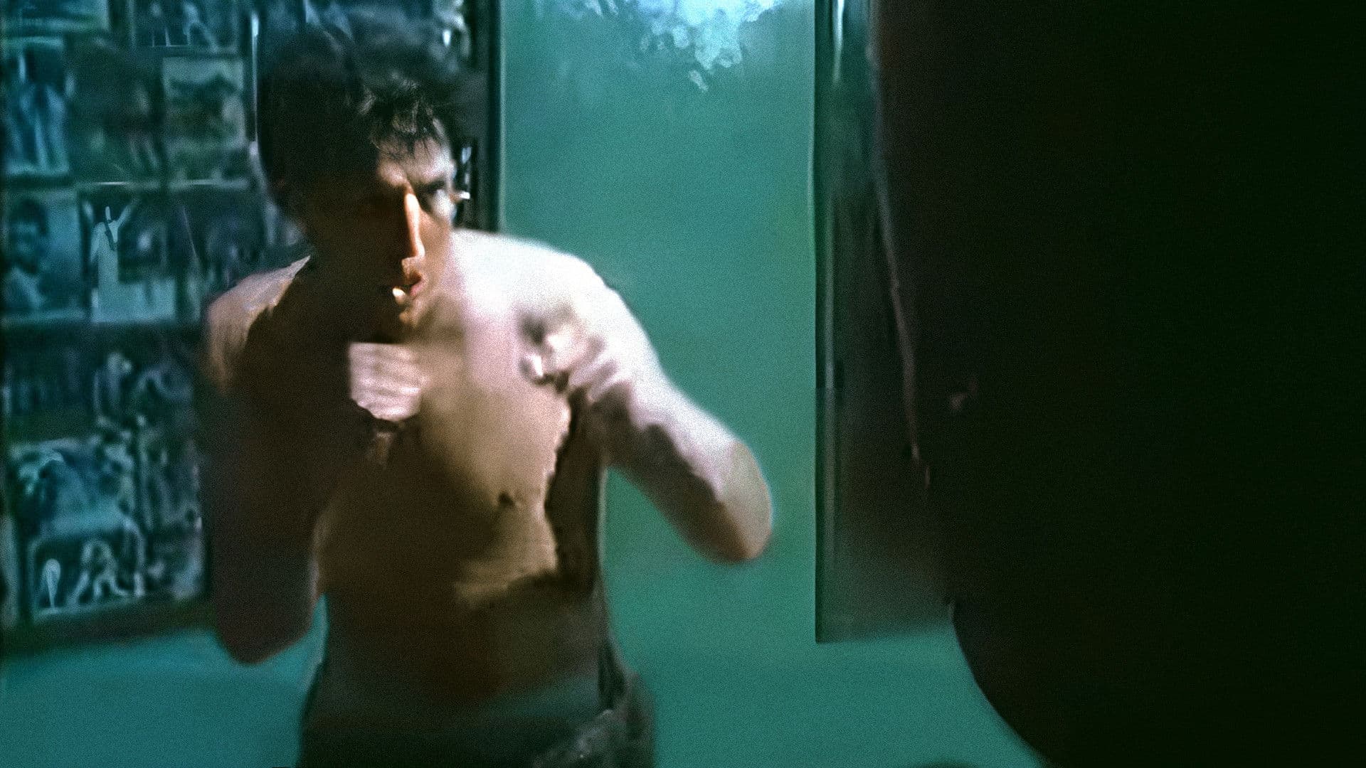 اطفال الشمس