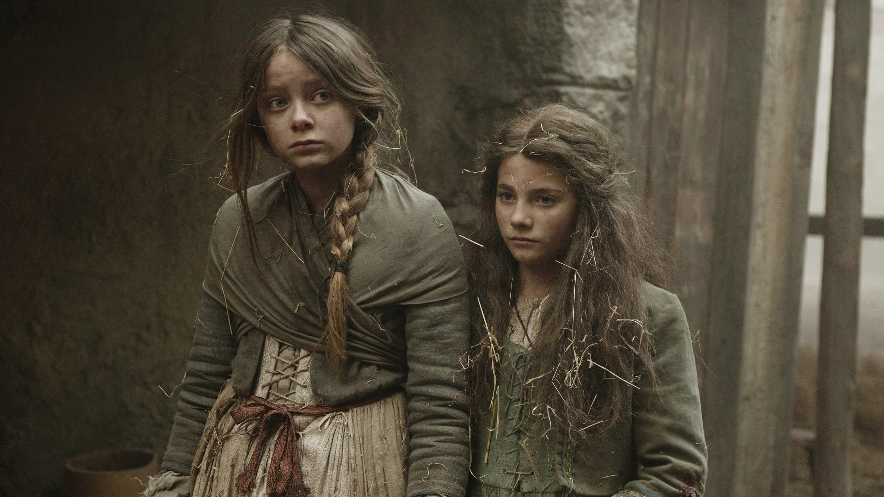 Die Hüterin der Wahrheit - Dinas Bestimmung