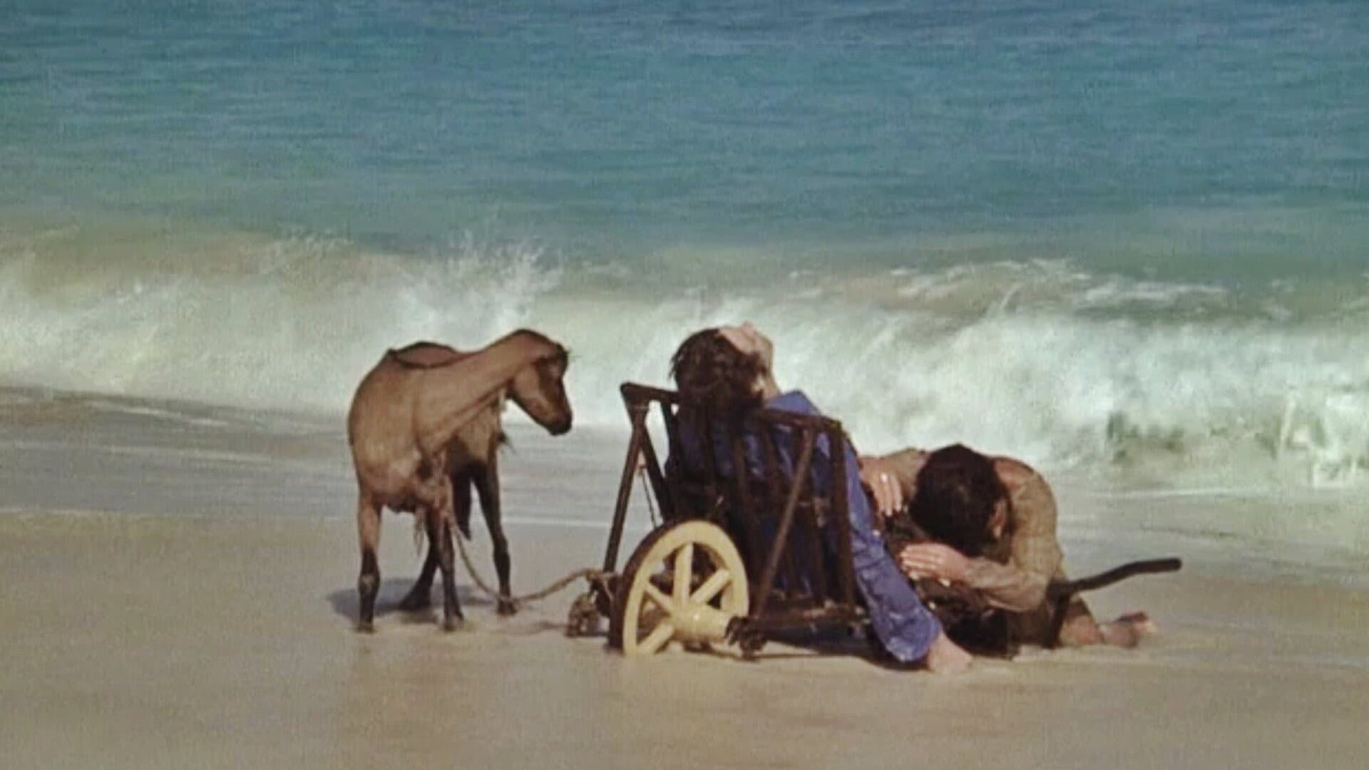 Ich werde laufen wie ein verrücktes Pferd