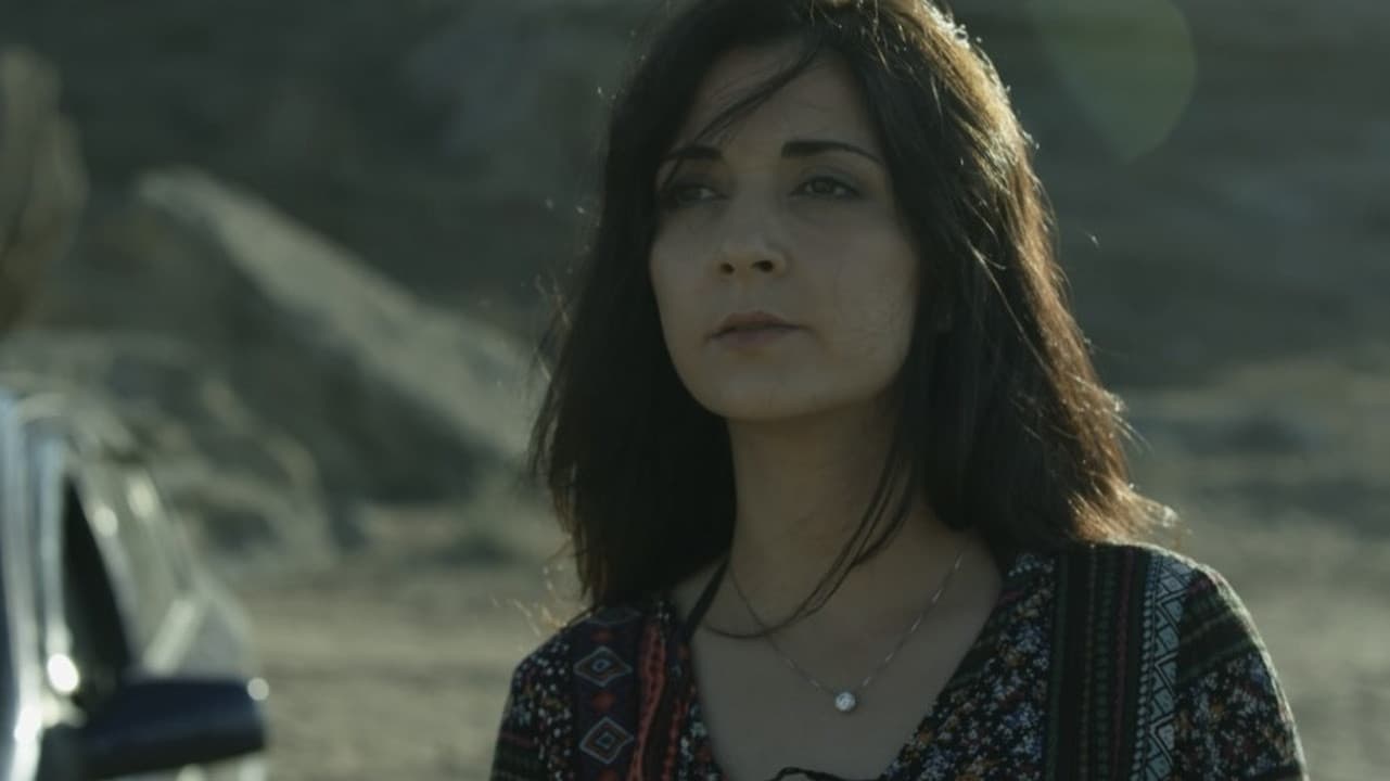 Dəniz suyu içən it