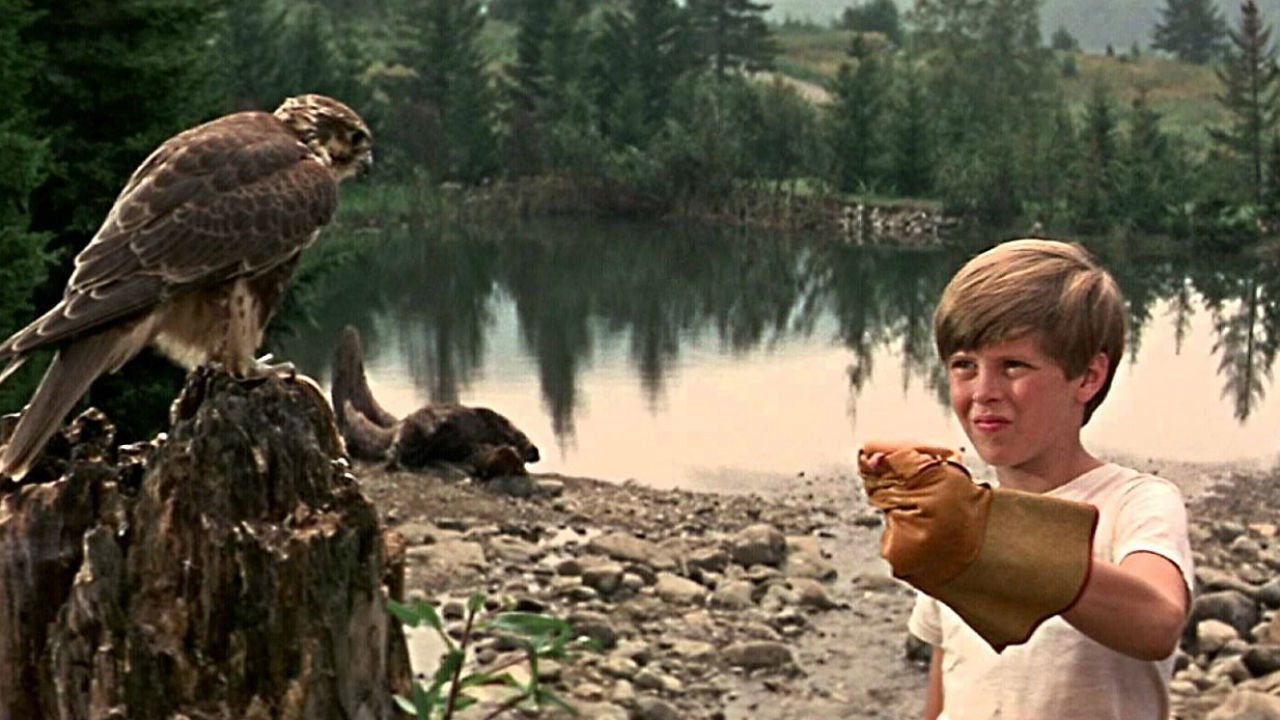 Ein Jahr als Robinson