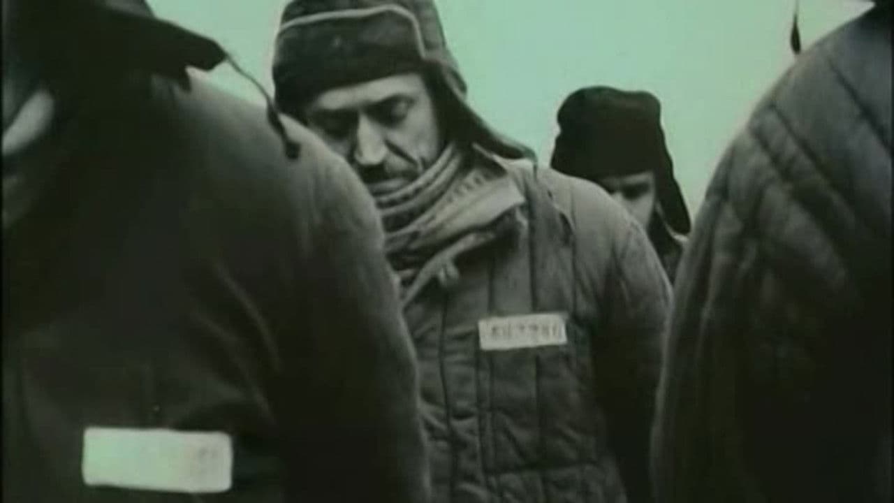 Die Geschichte vom treuen Hund Ruslan