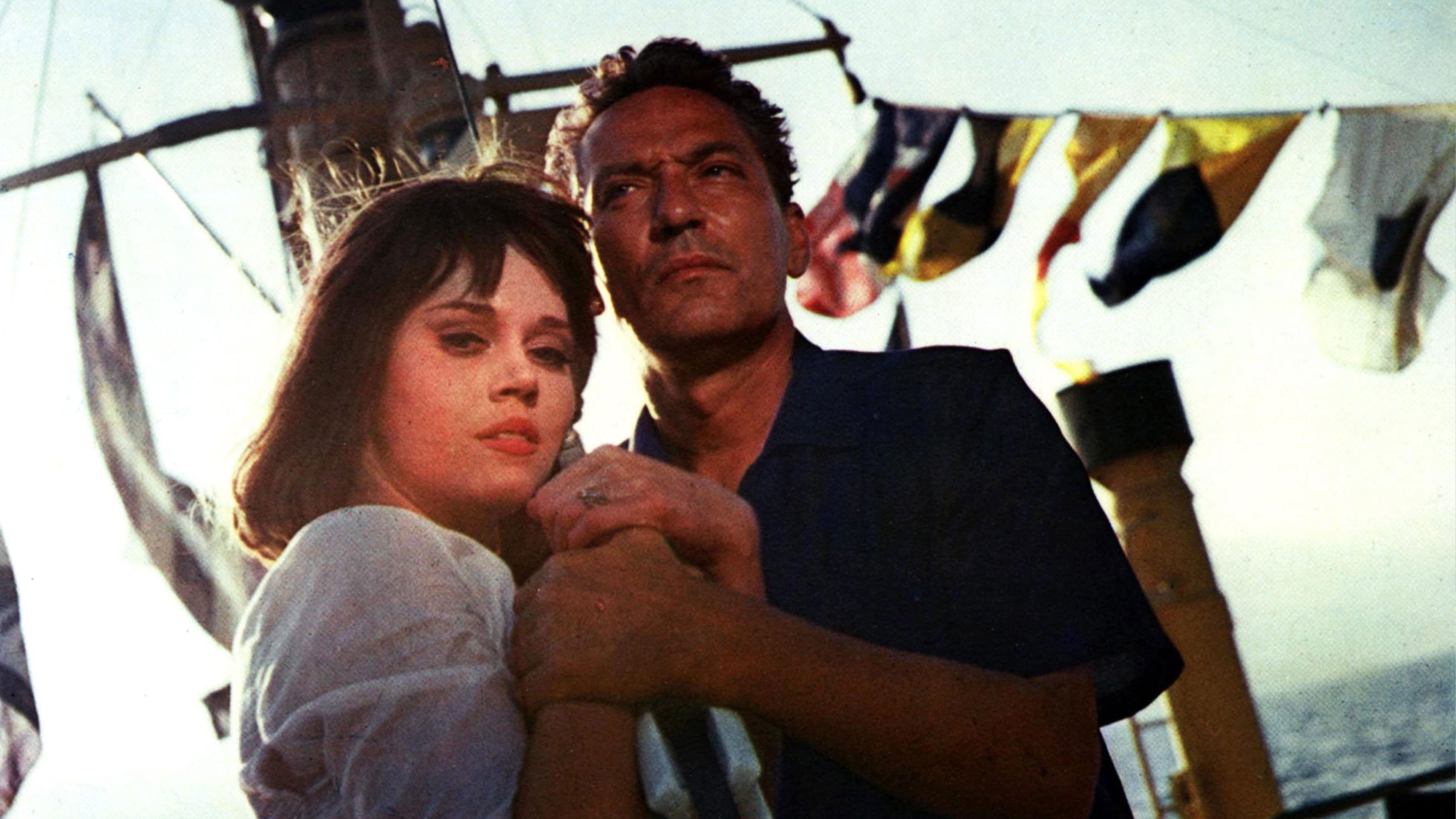 Begierde an schattigen Tagen