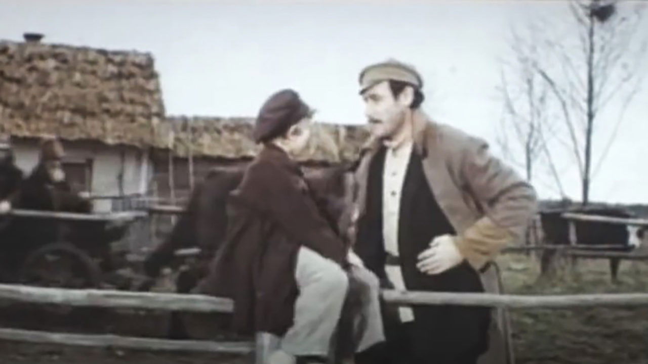 Гуси-лебеді летять