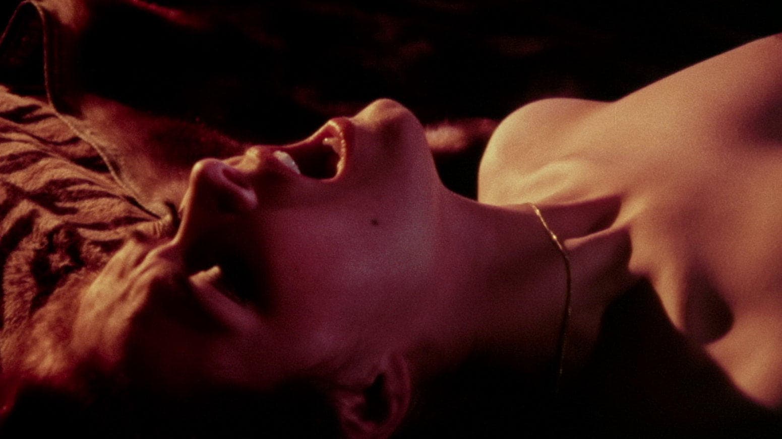 Der Sex trinkt Champagner