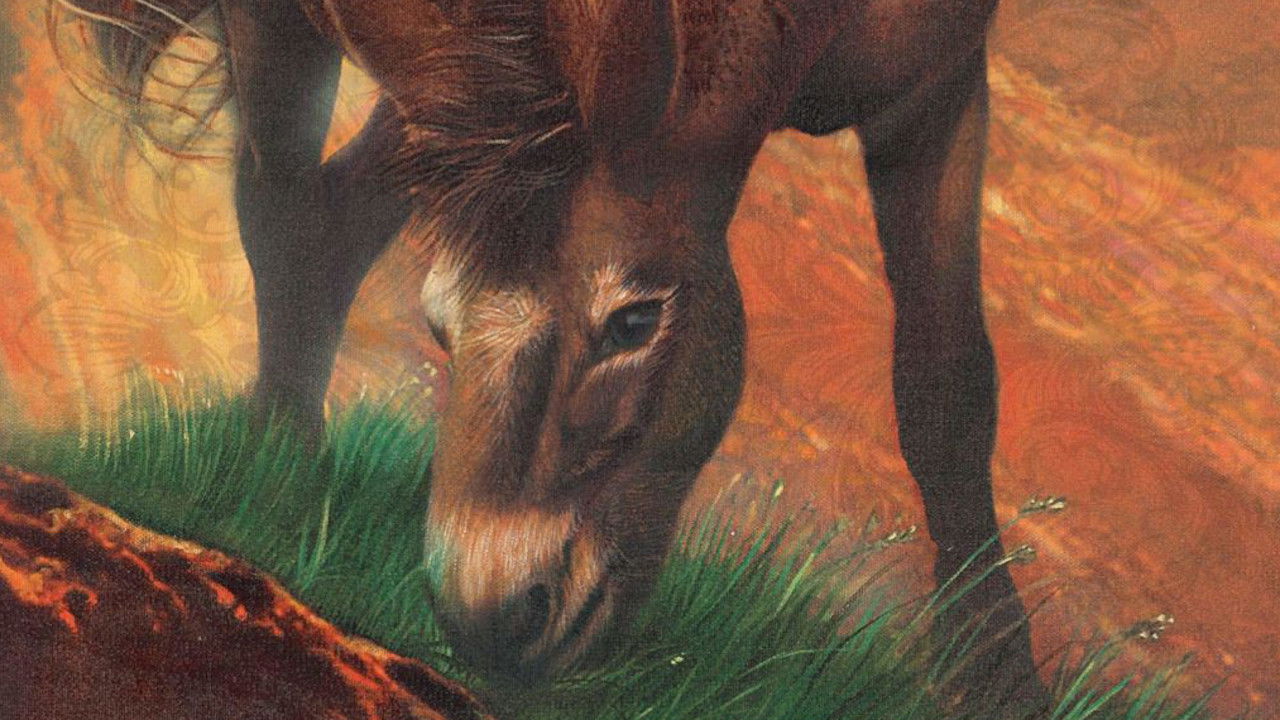 Brighty - Abenteuer im Grand Canyon