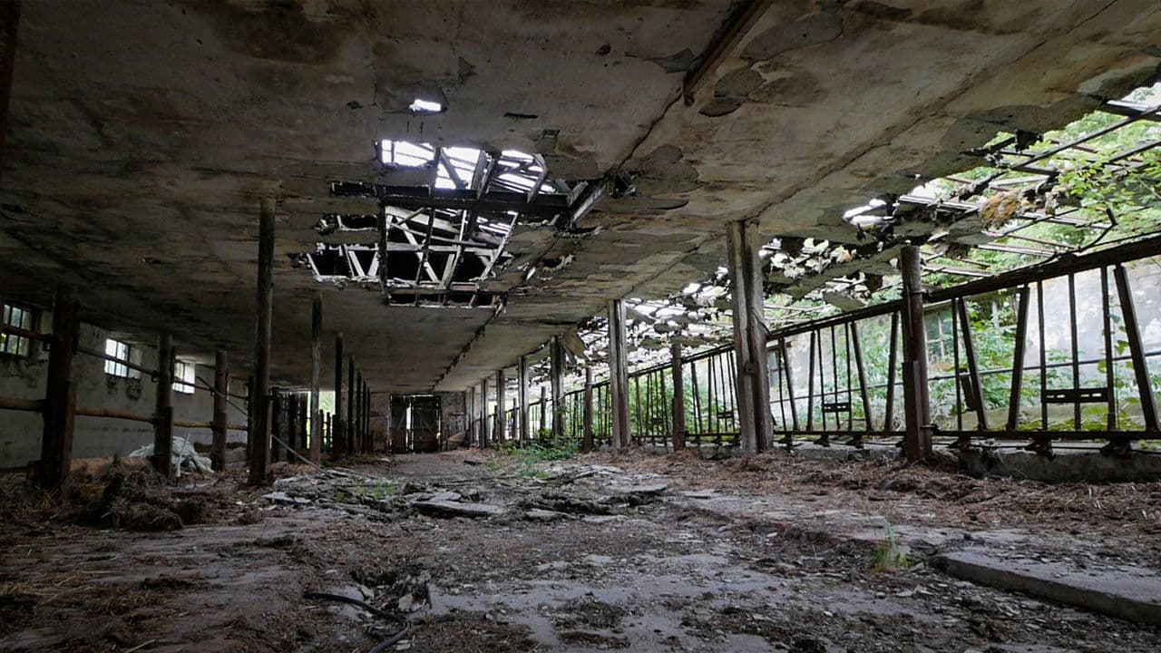 The End of Meat - Eine Welt ohne Fleisch