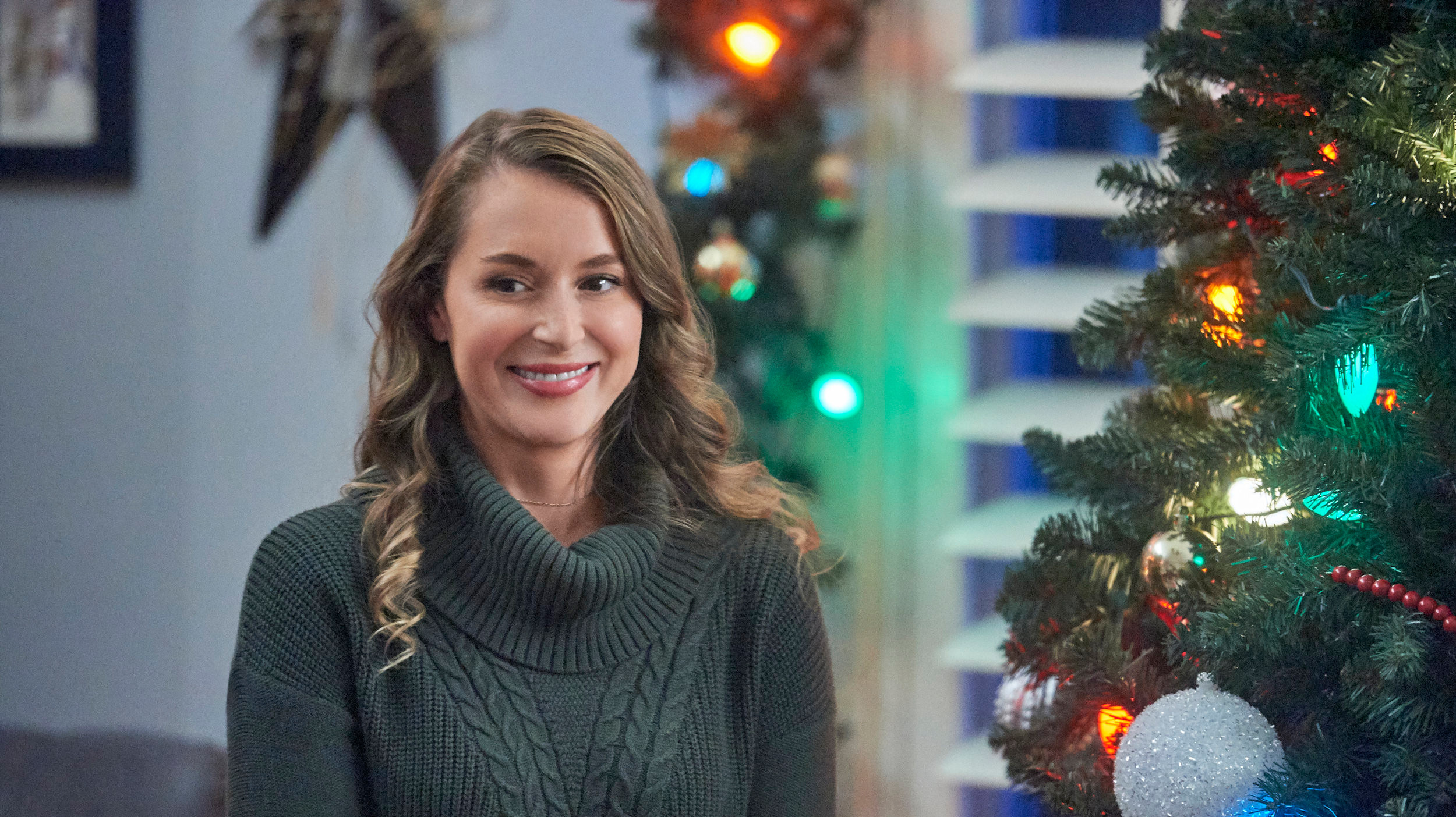 Weihnachten nach Wunsch