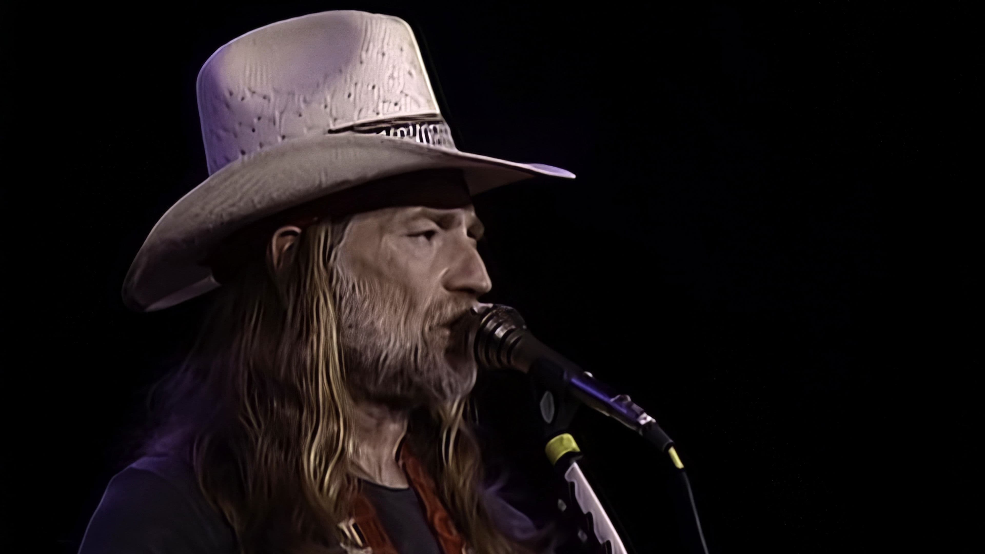 Willie Nelson: Live at Budokan