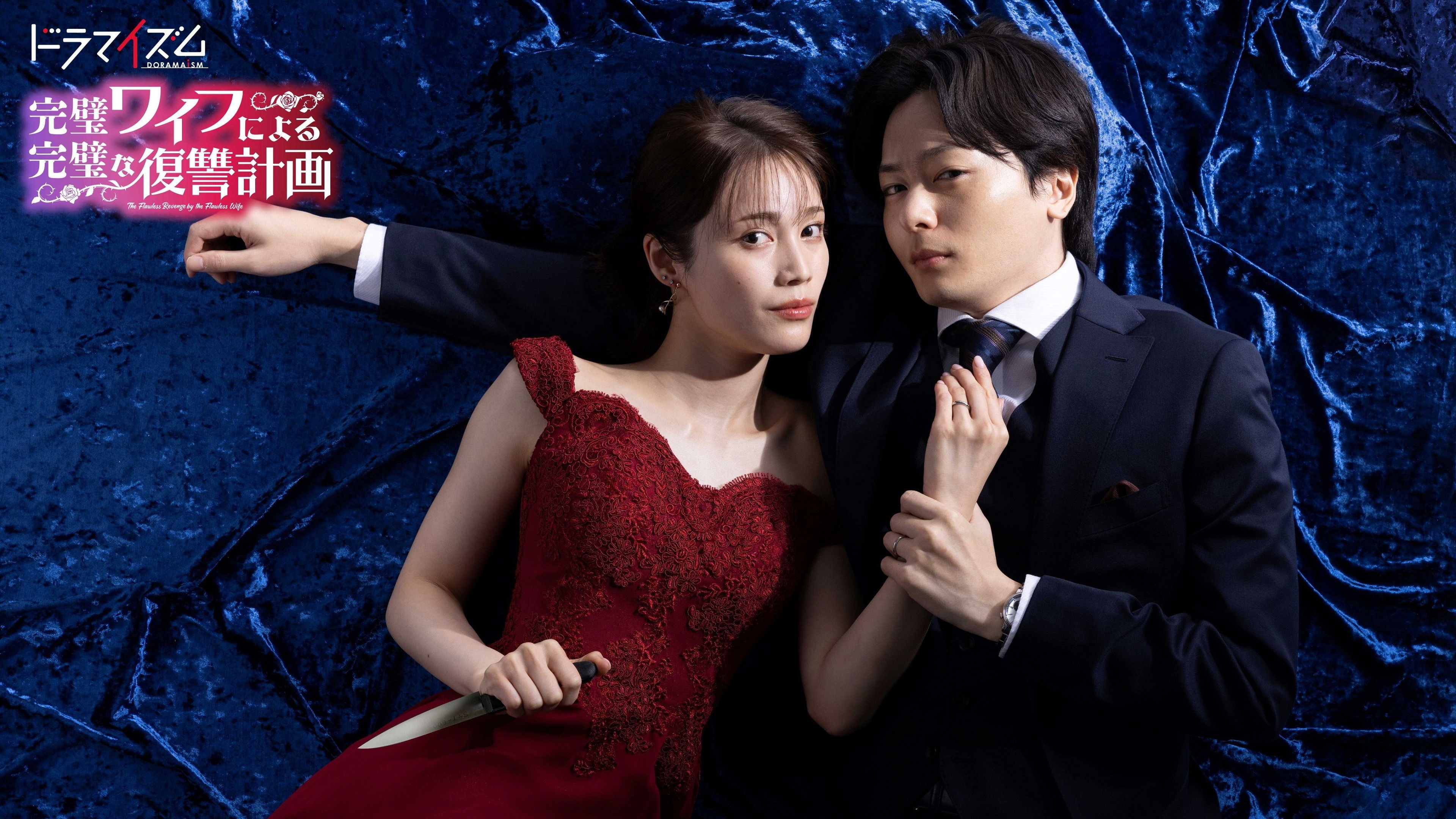 完璧ワイフによる完璧な復讐計画