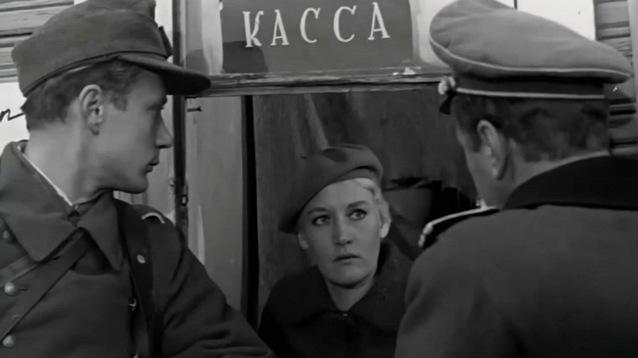 Пятеро с неба