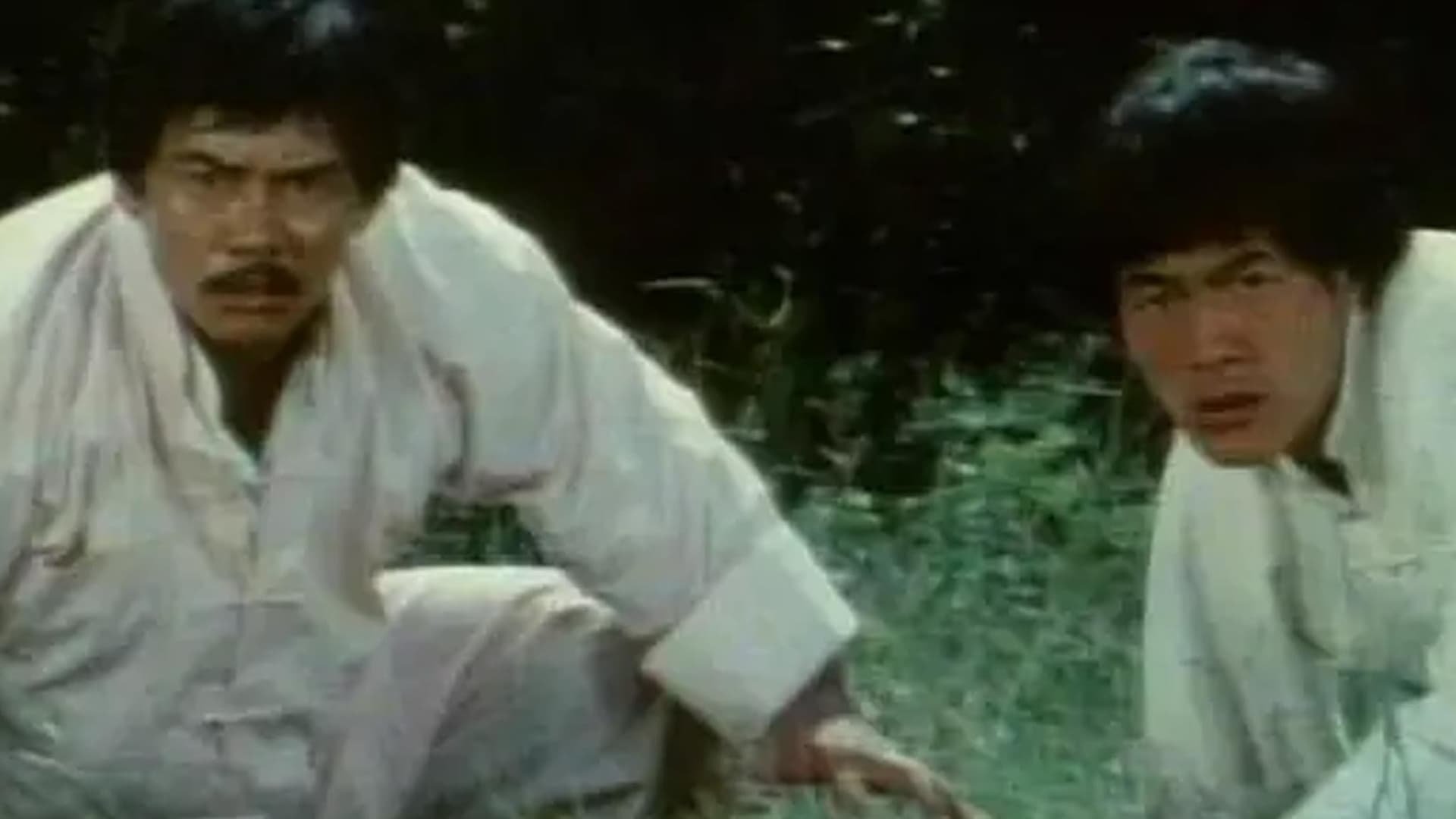 Die gelben Augen des Gorillas