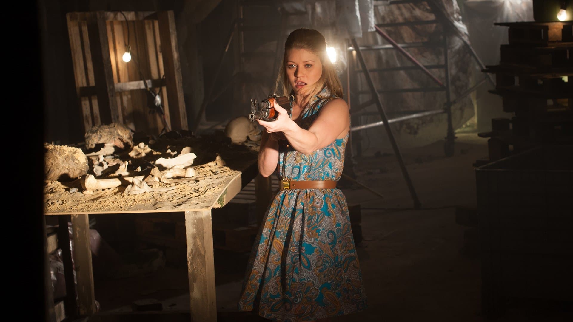 Air Force One Is Down