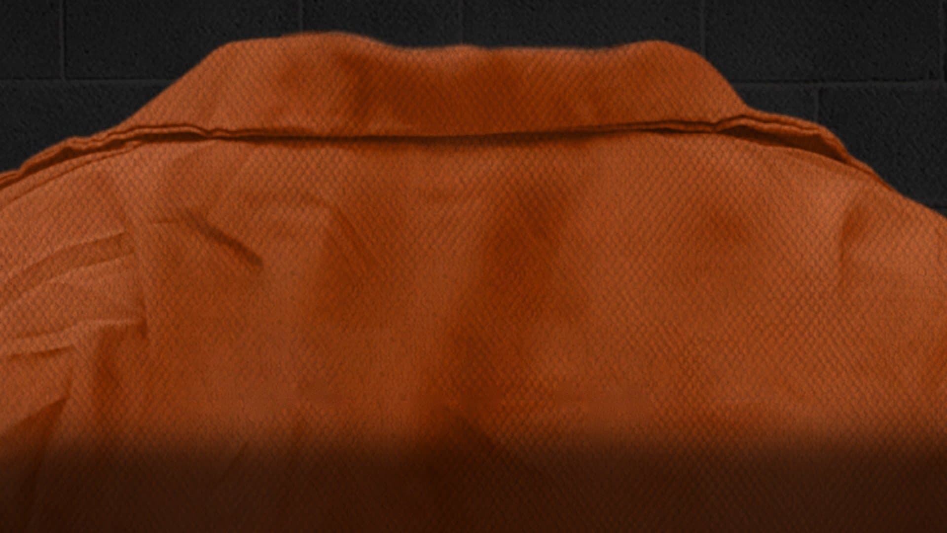 Mein (fast) perfektes Verbrechen