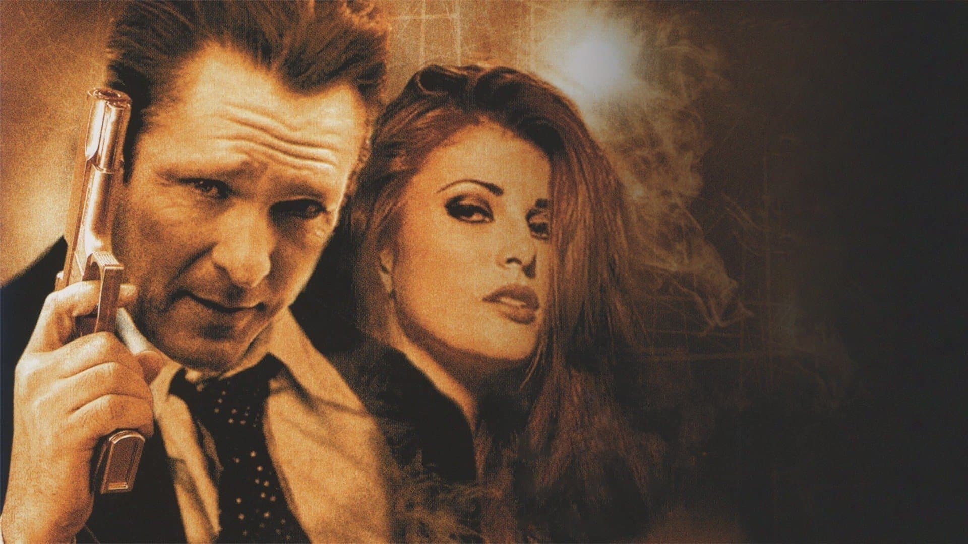 The Stray - Der Racheengel