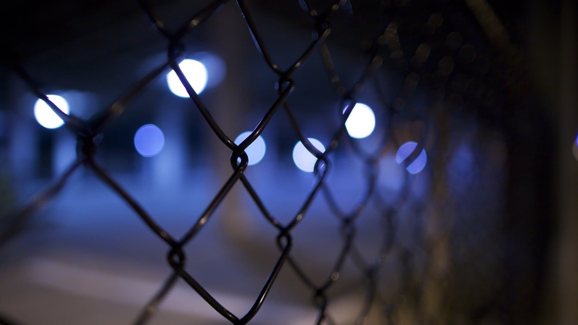 Mit dem Wind nach Westen