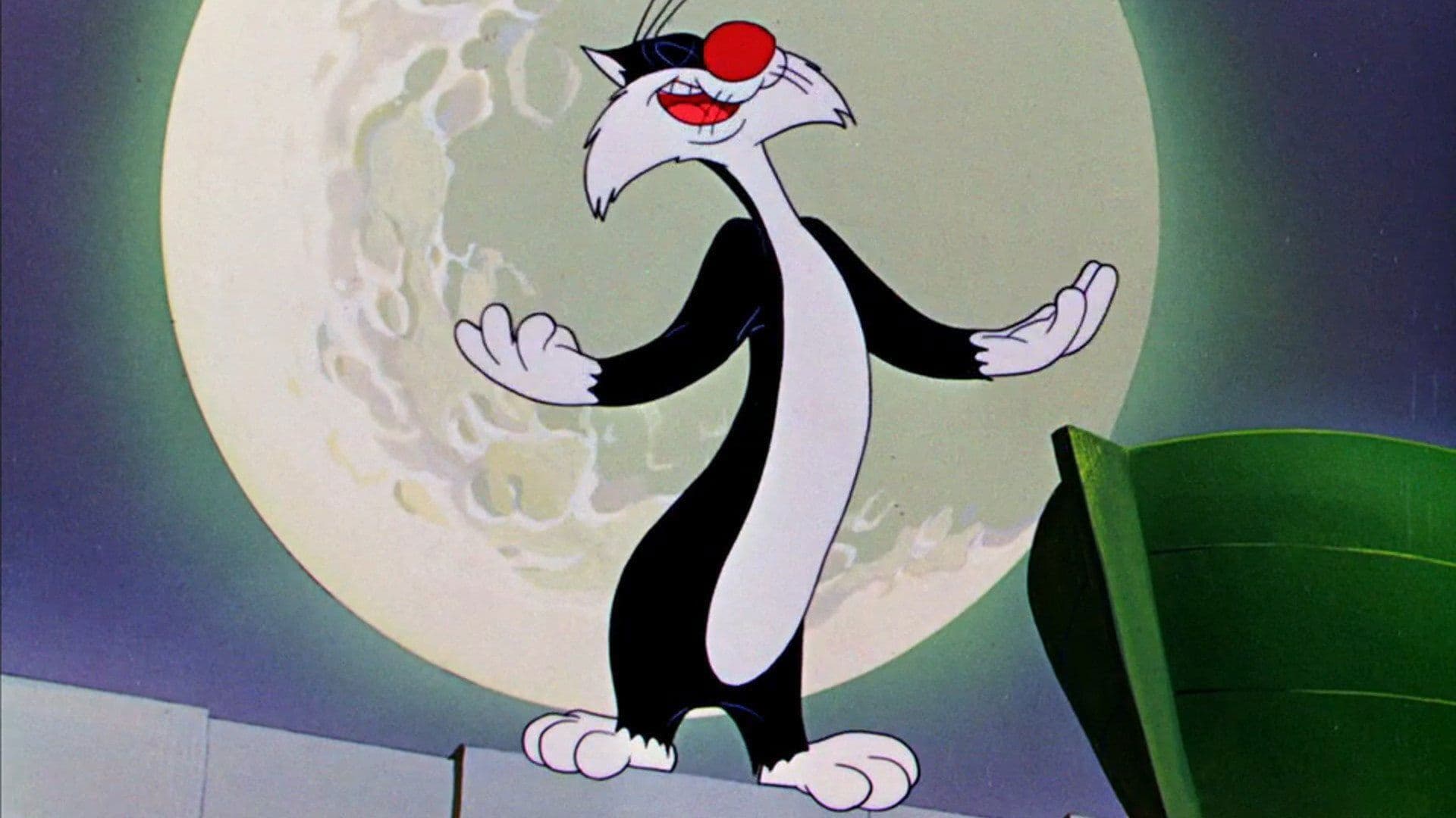 Konzertaner Katzenjammer