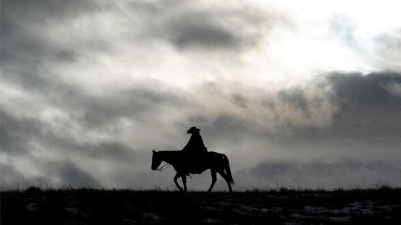 Bring on the Dancing Horses - Die Killerin vor der Tür