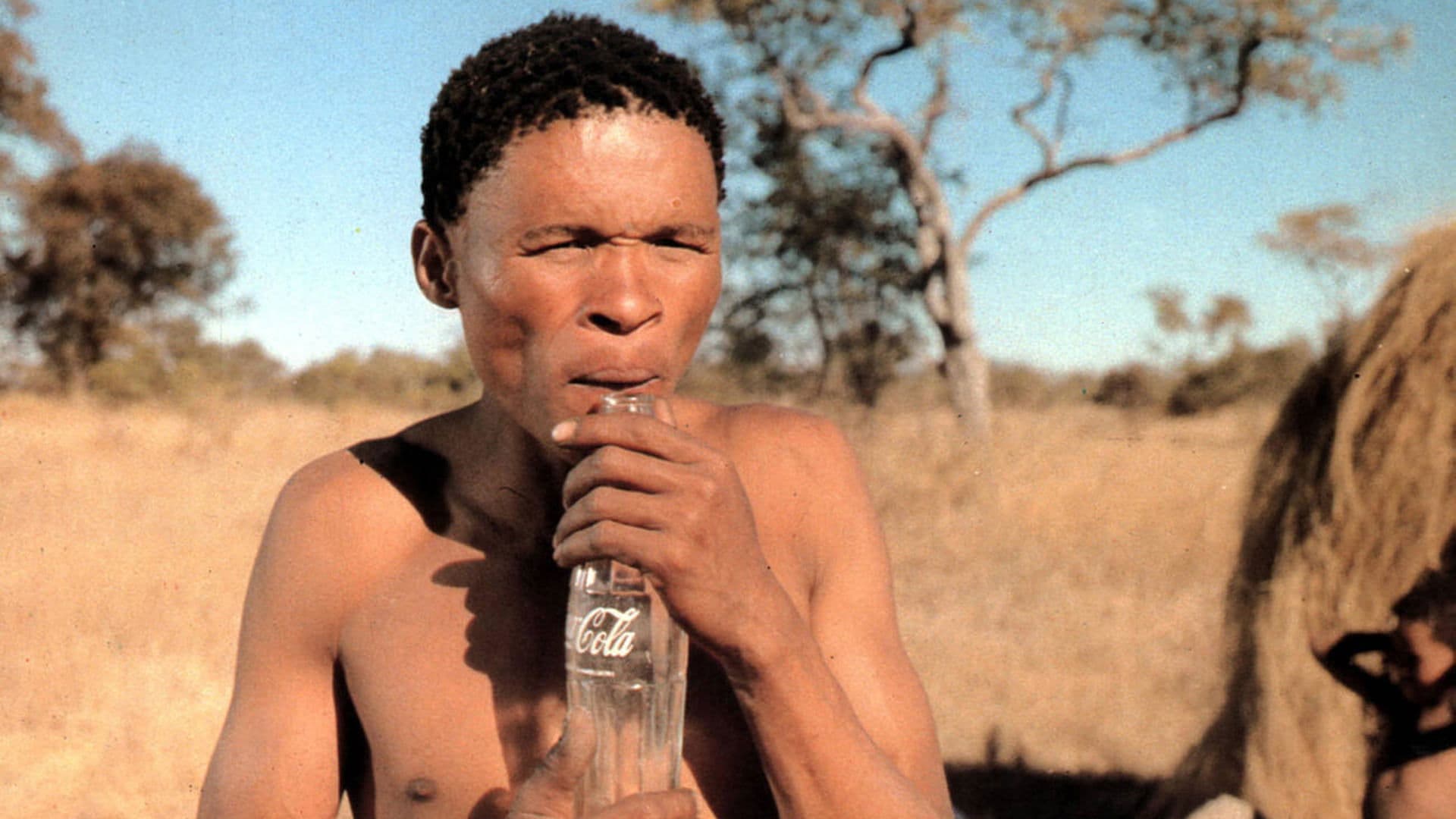 Die Götter müssen verrückt sein