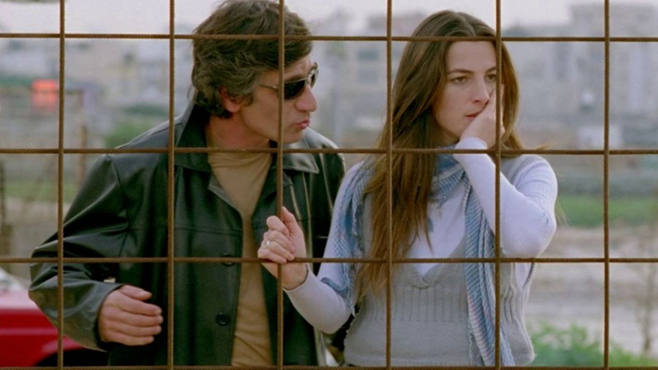 רק כלבים רצים חופשי