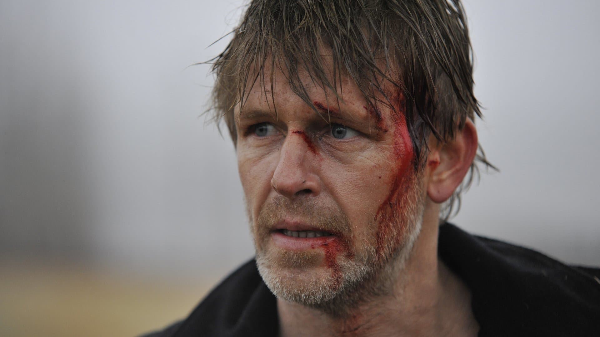 Der Wolf - Zeichen an der Wand