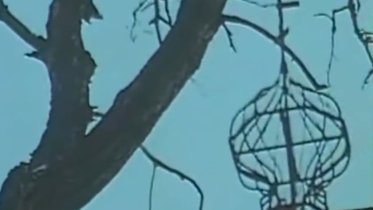 Киммерийский затворник