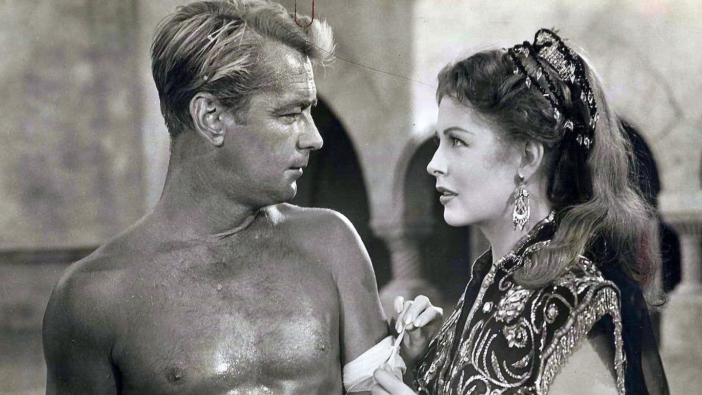 Der Legionär der Sahara