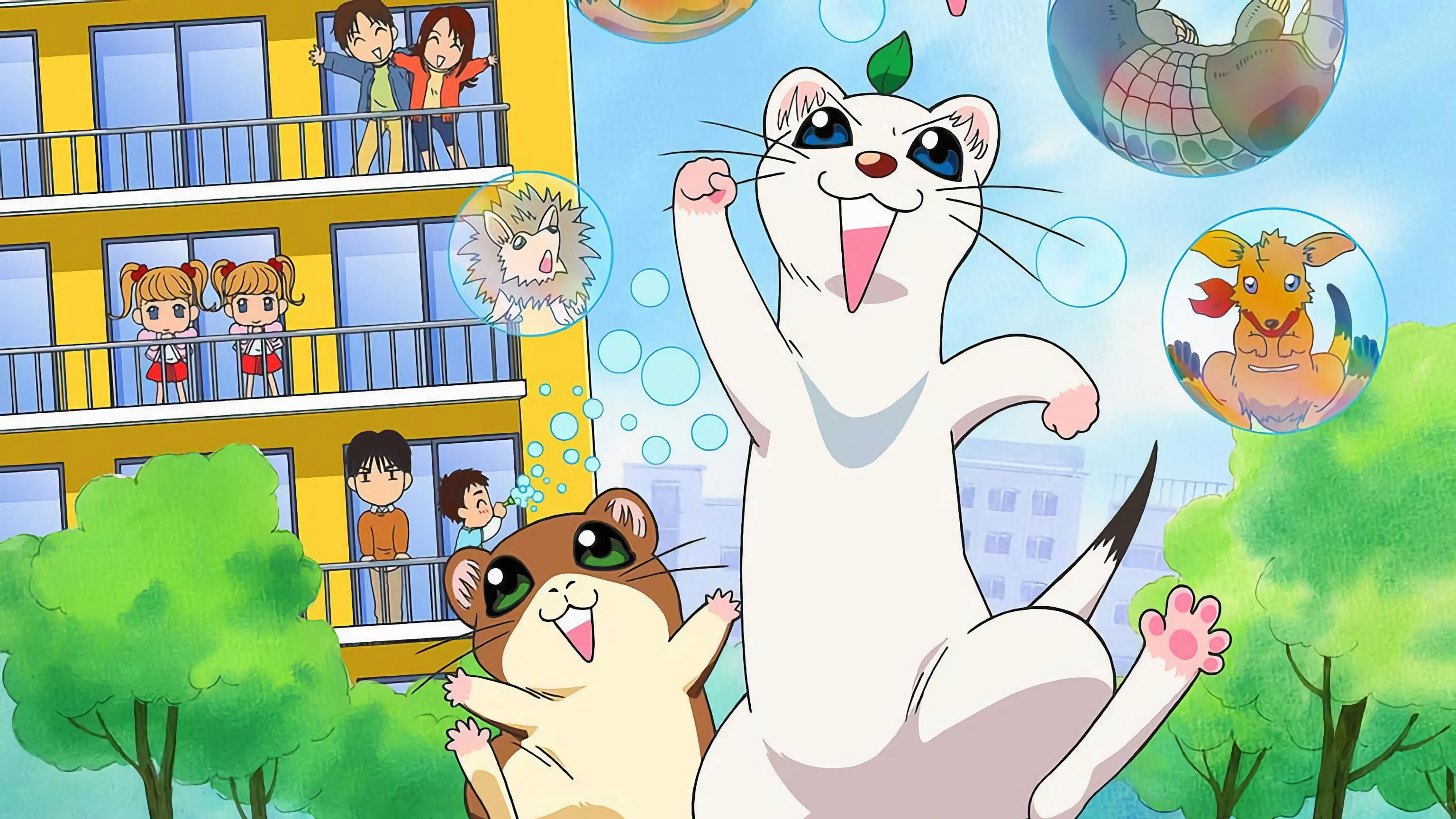 しあわせソウのオコジョさん