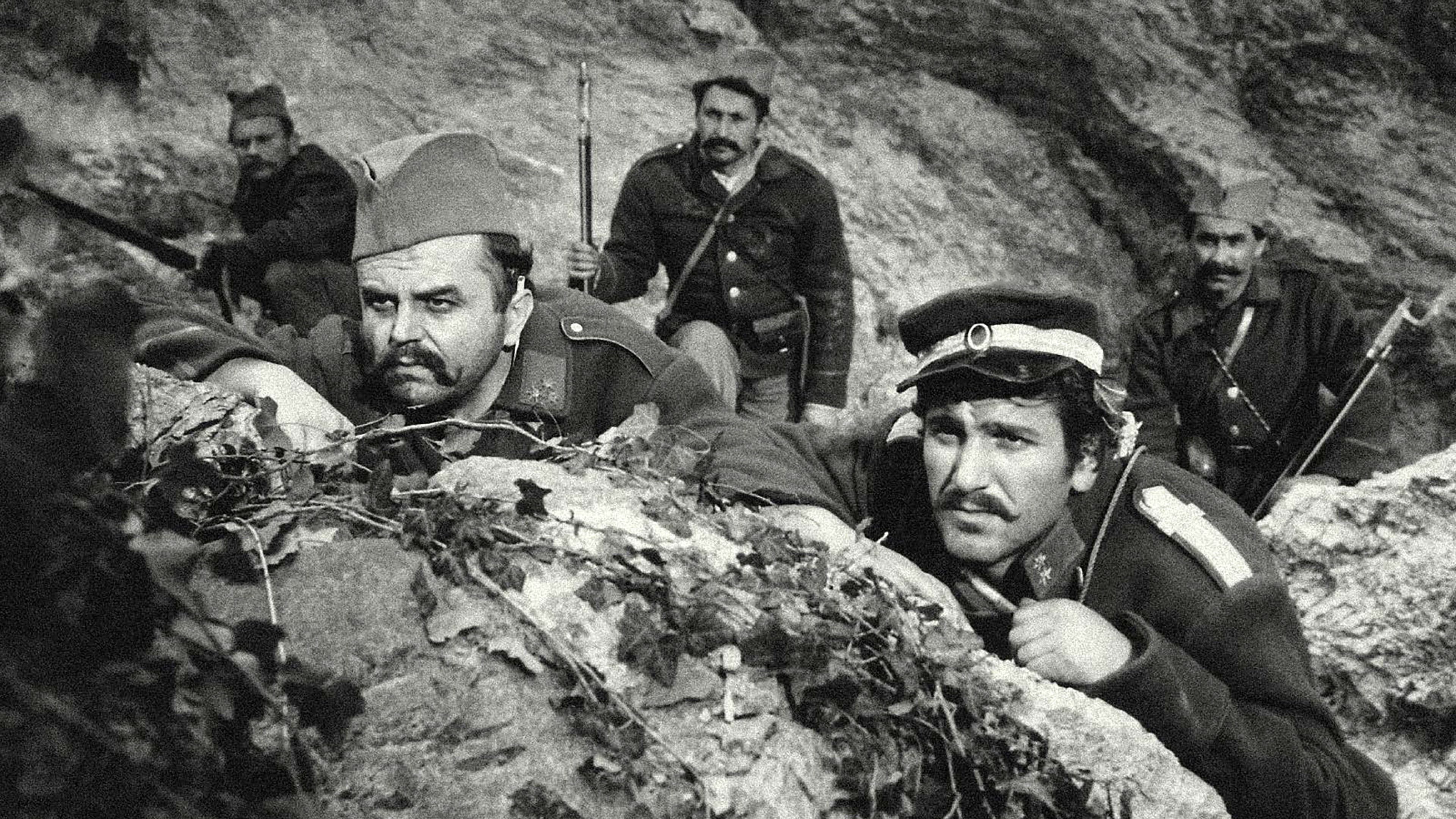 Невесињска пушка