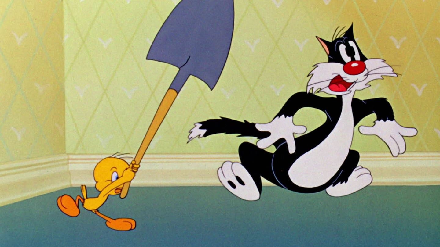 Silvester zieht den Kürzeren