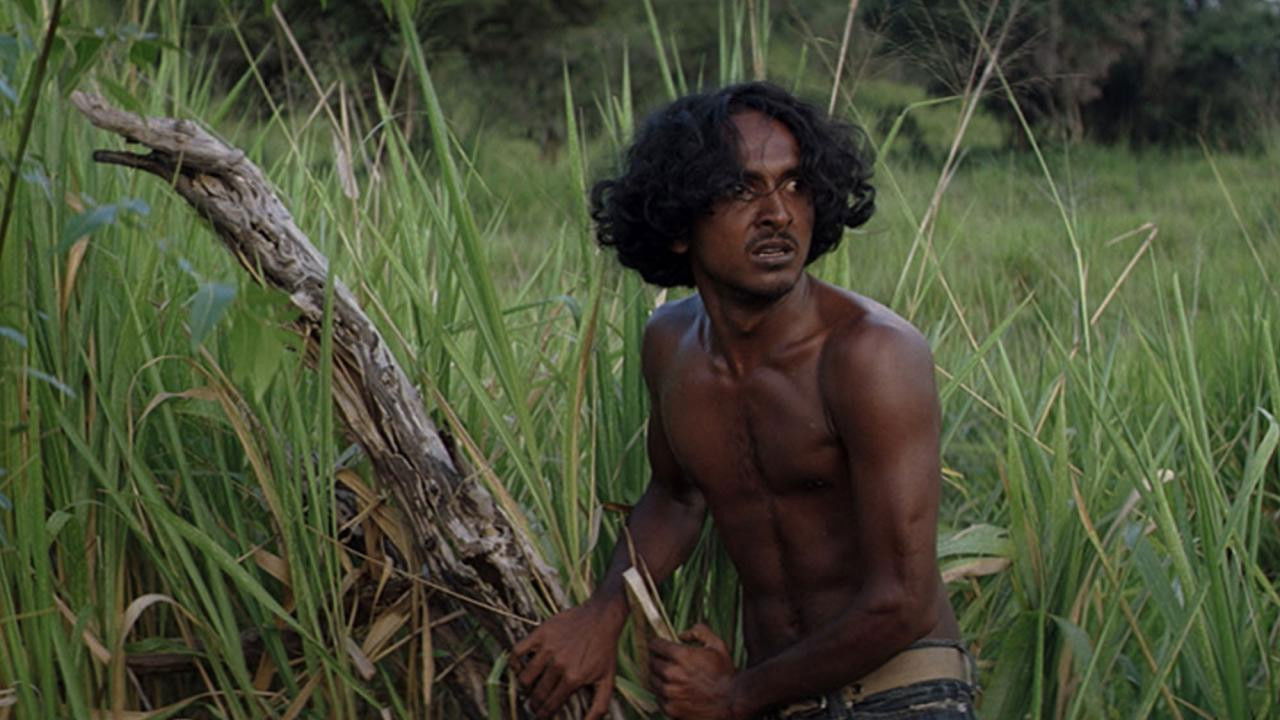 Zwischen zwei Welten