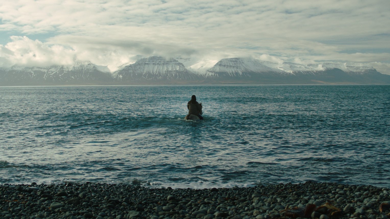 Von Menschen und Pferden