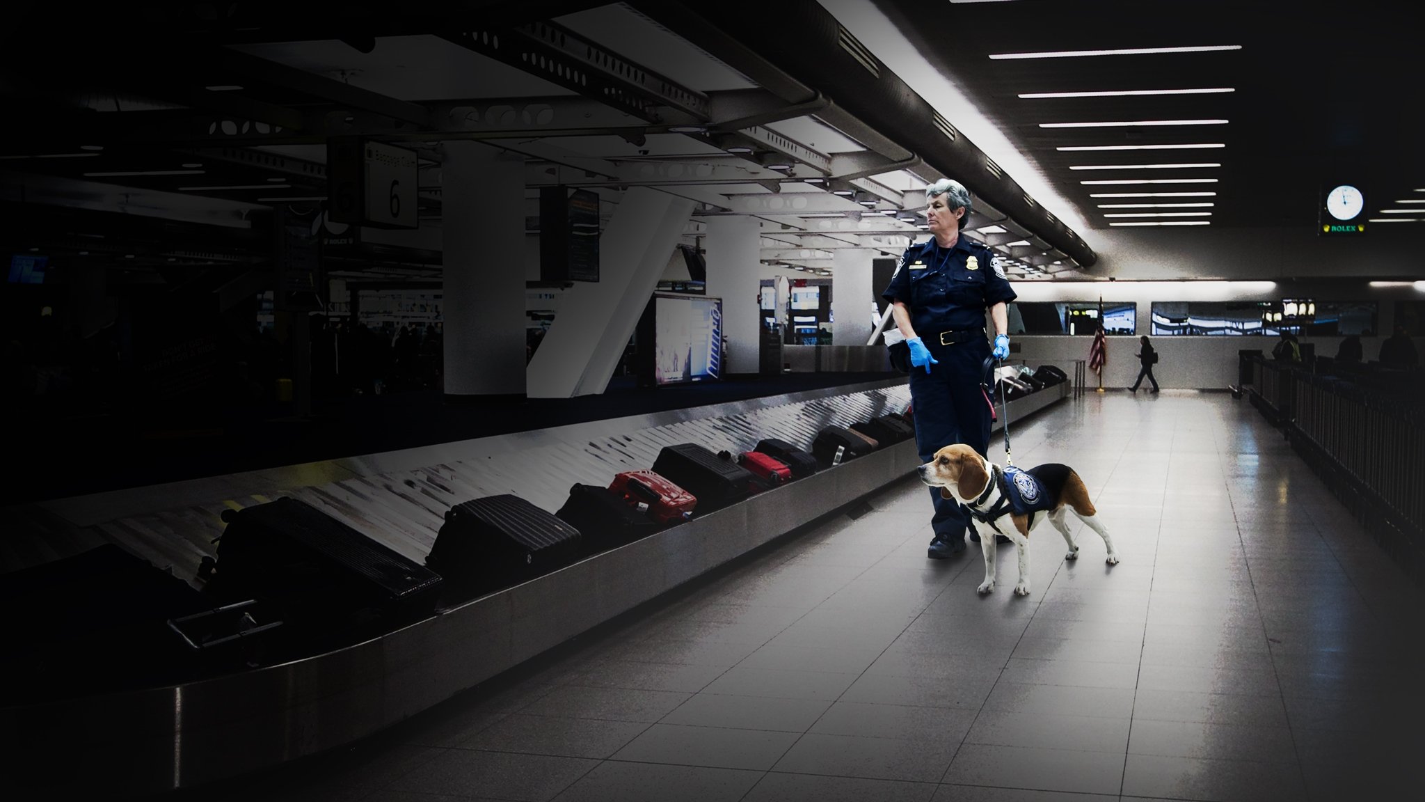 Schmugglern auf der Spur