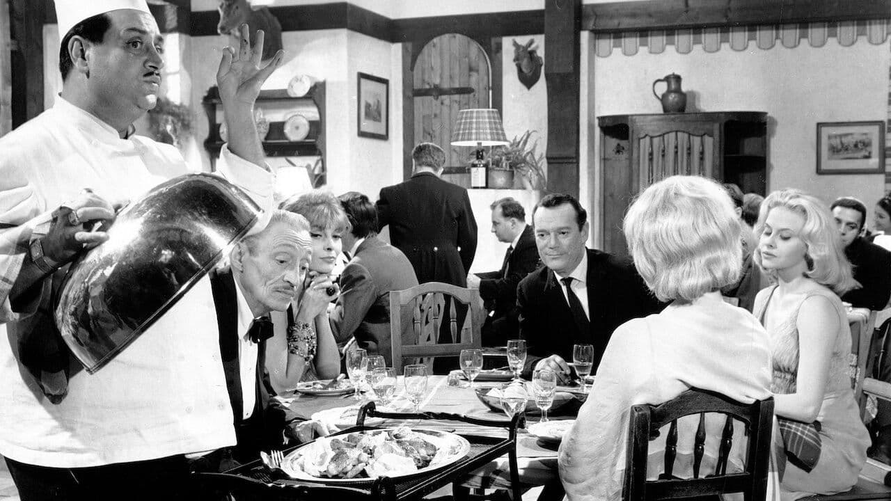 Eddie krault nur kesse Katzen