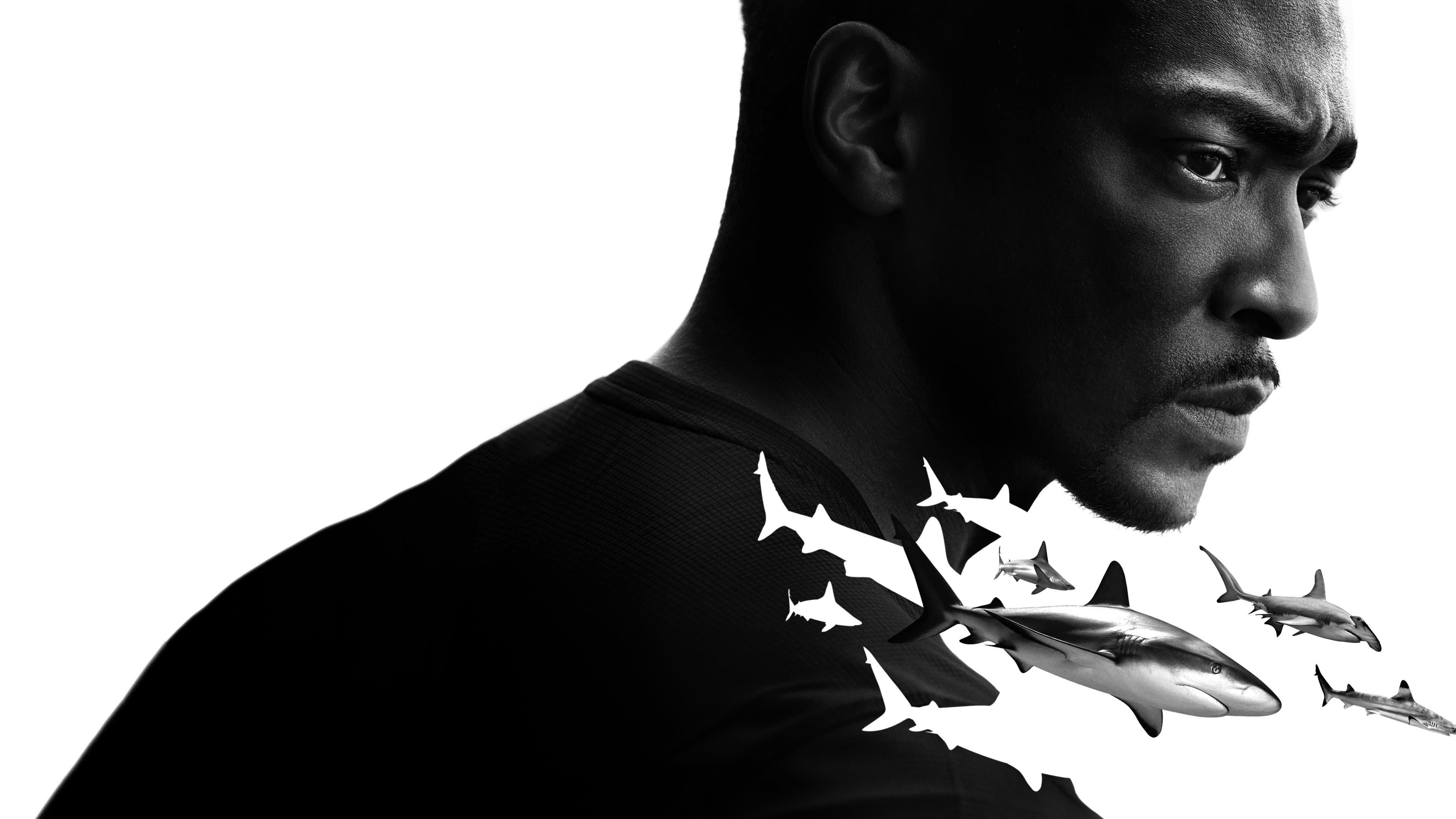 Der Strand der Haie mit Anthony Mackie: Golfküste