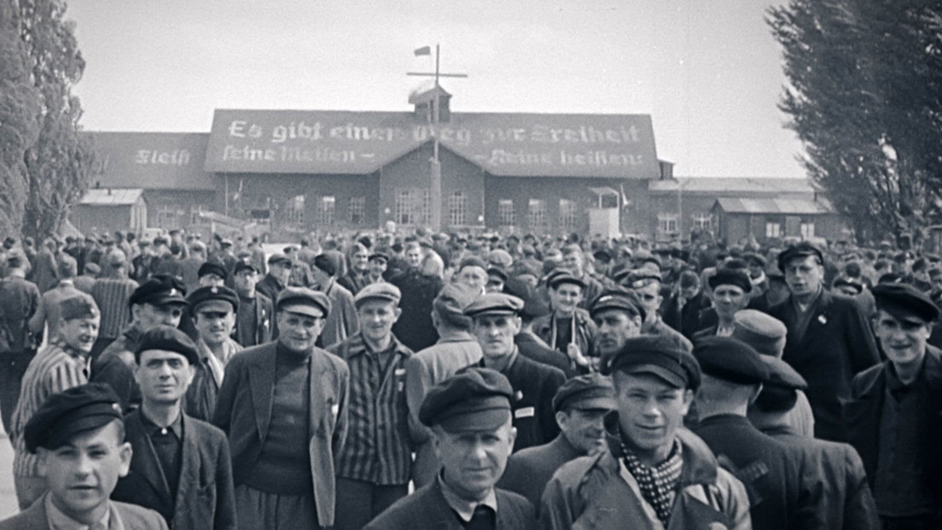 Die Überlebenden. Neuanfang nach dem Holocaust