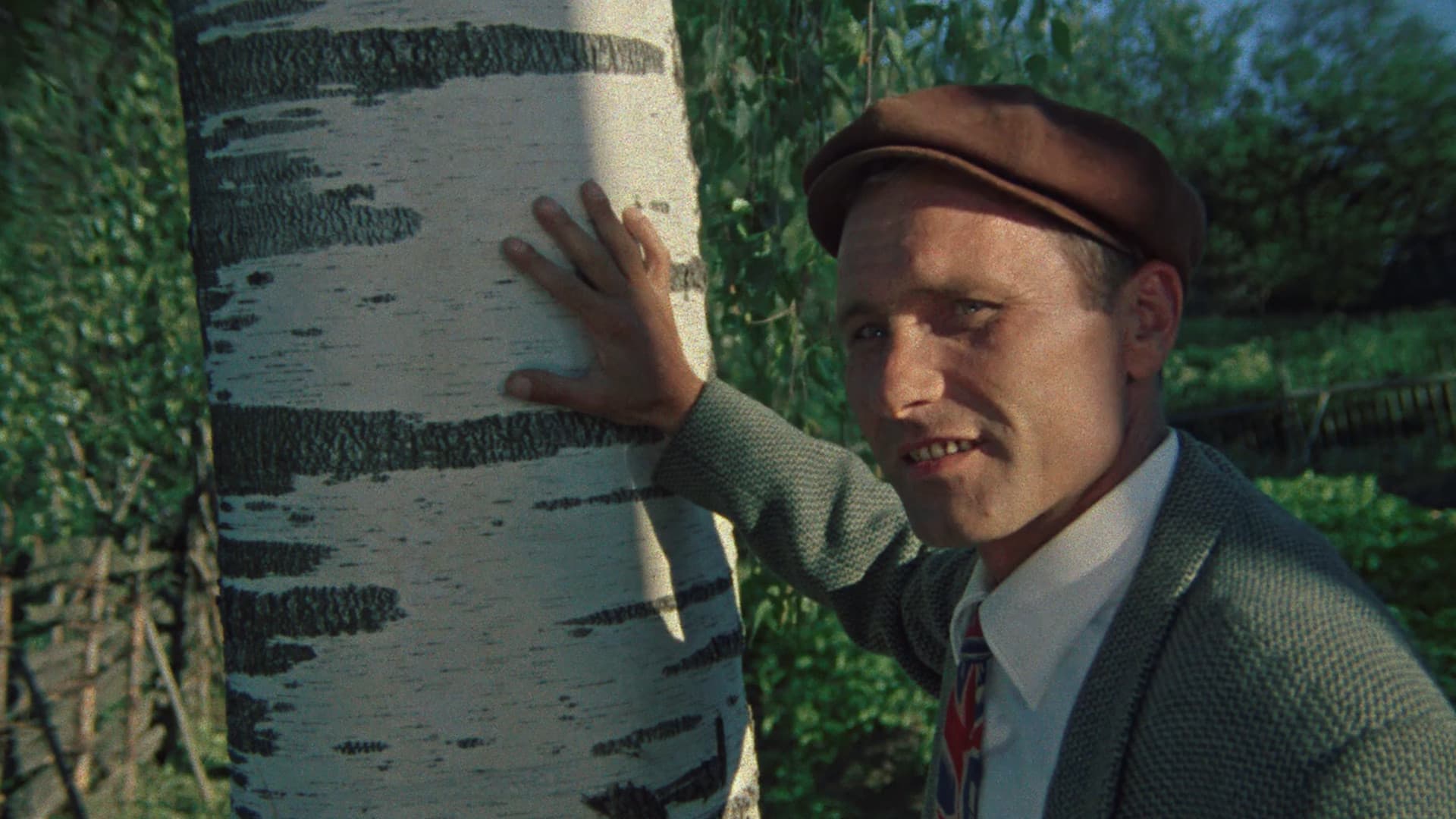 Kalina Krassnaja – Roter Holunder