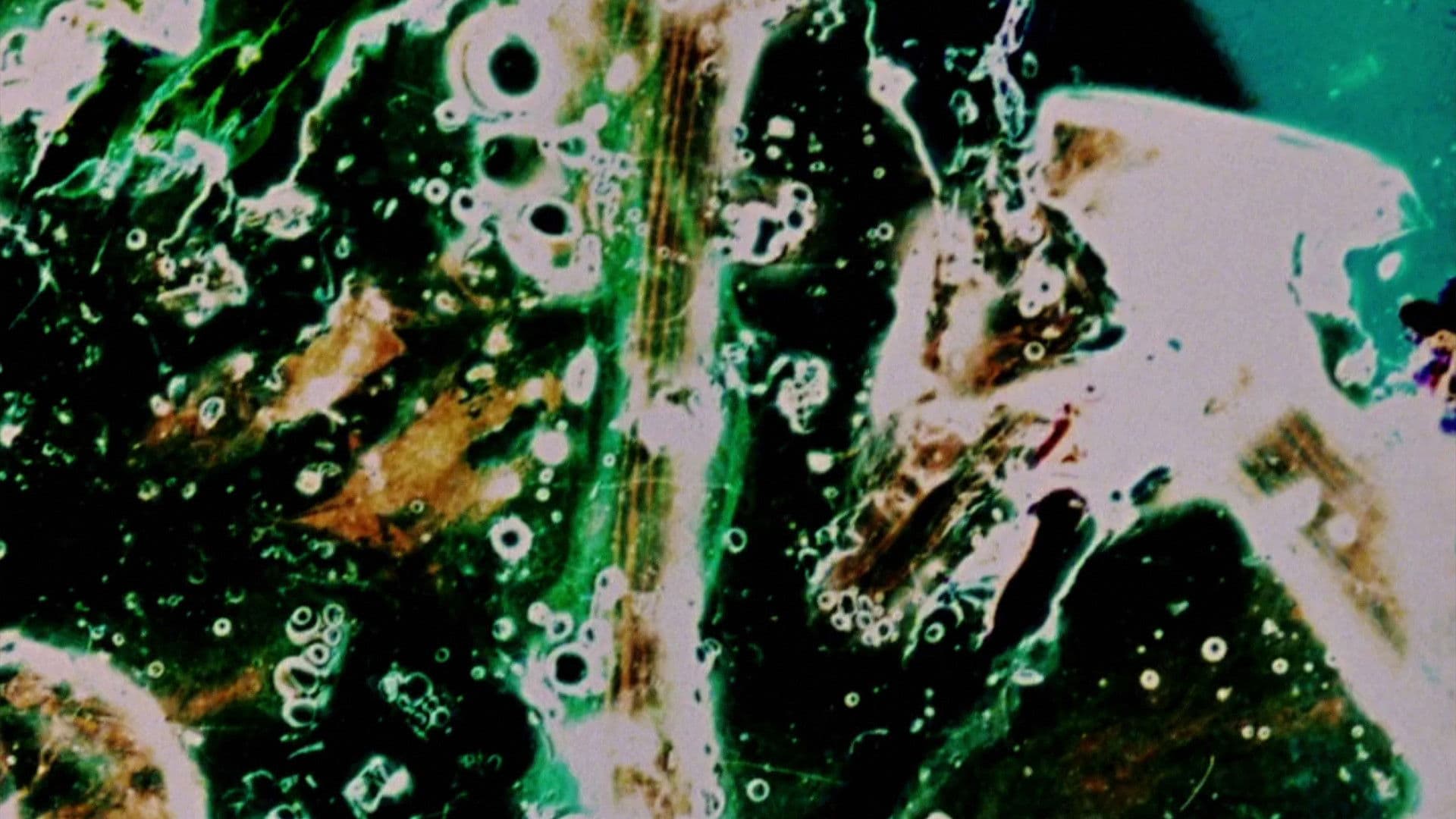 Delicacies of Molten Horror Synapse