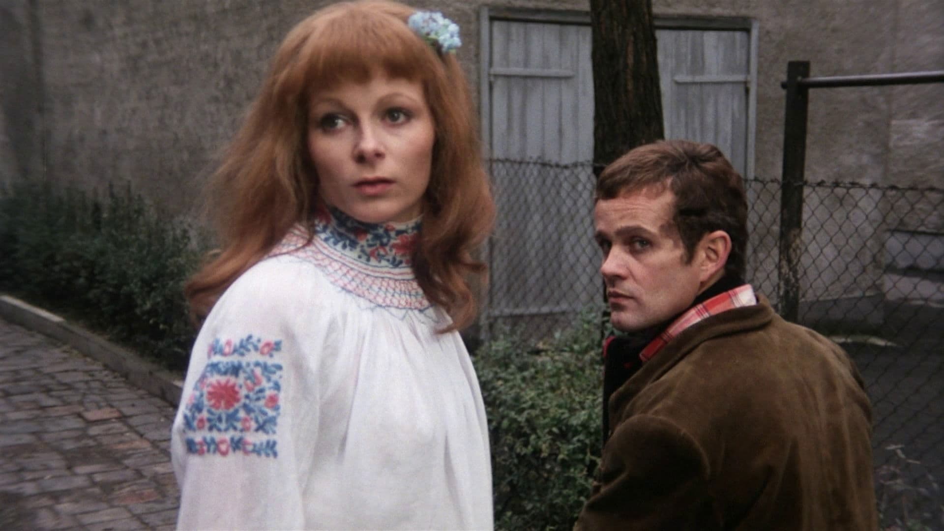 Mosquito der Schänder