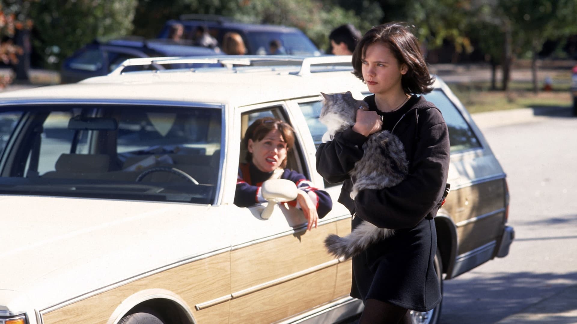 Dieser verflixte Kater