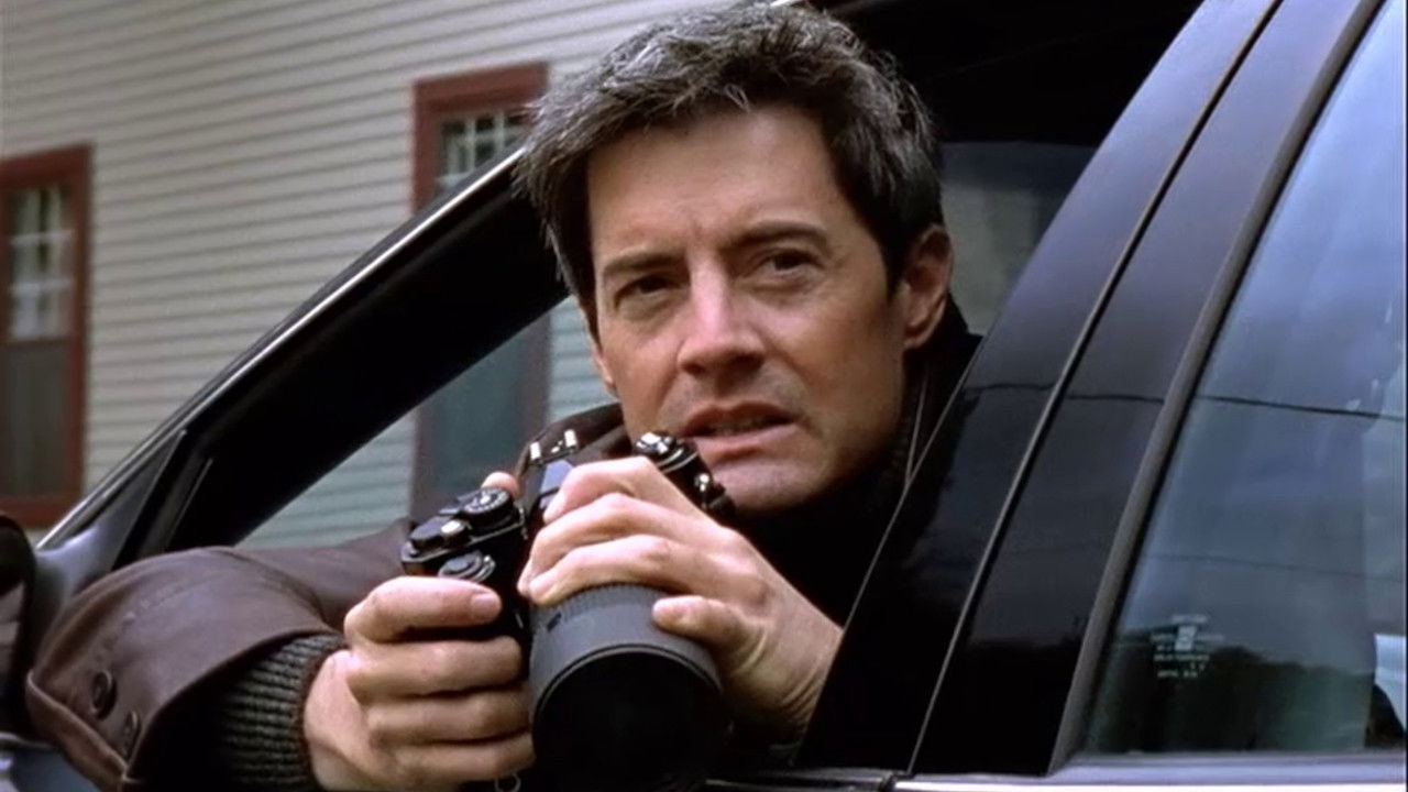 Das Windsor-Protokoll