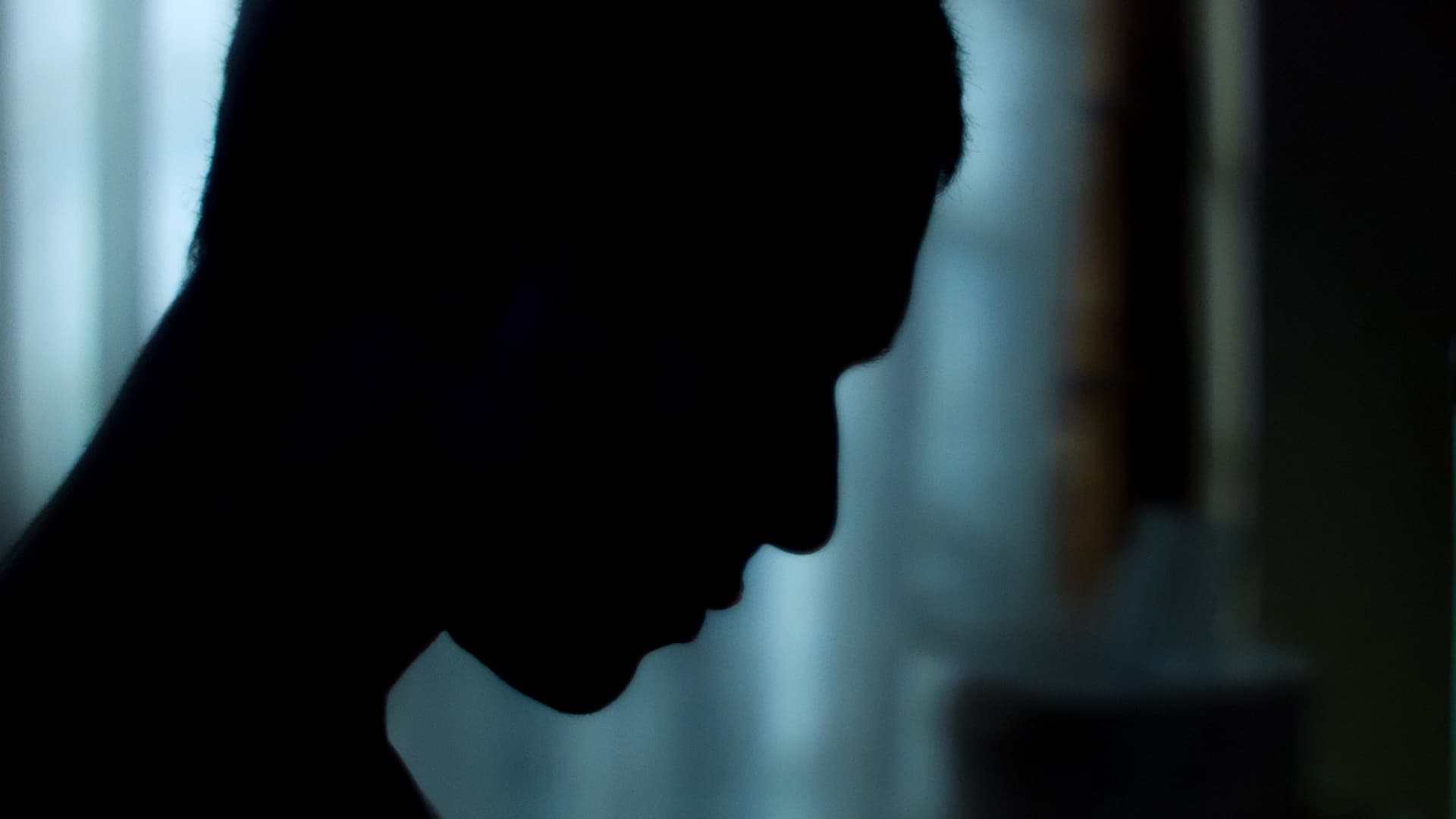 Cuando el lobo no está