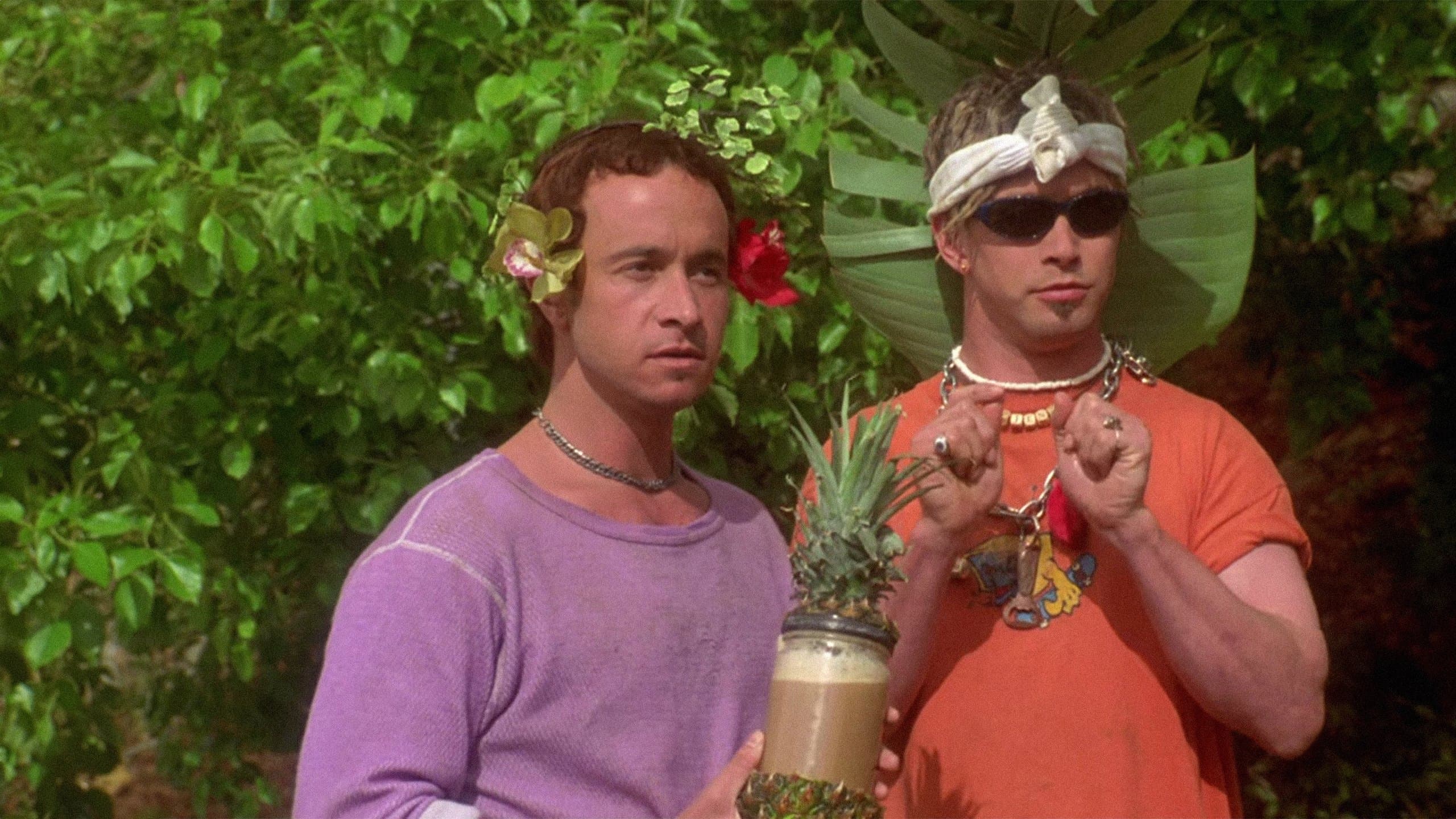 Bud und Doyle - Total Bio, garantiert schädlich