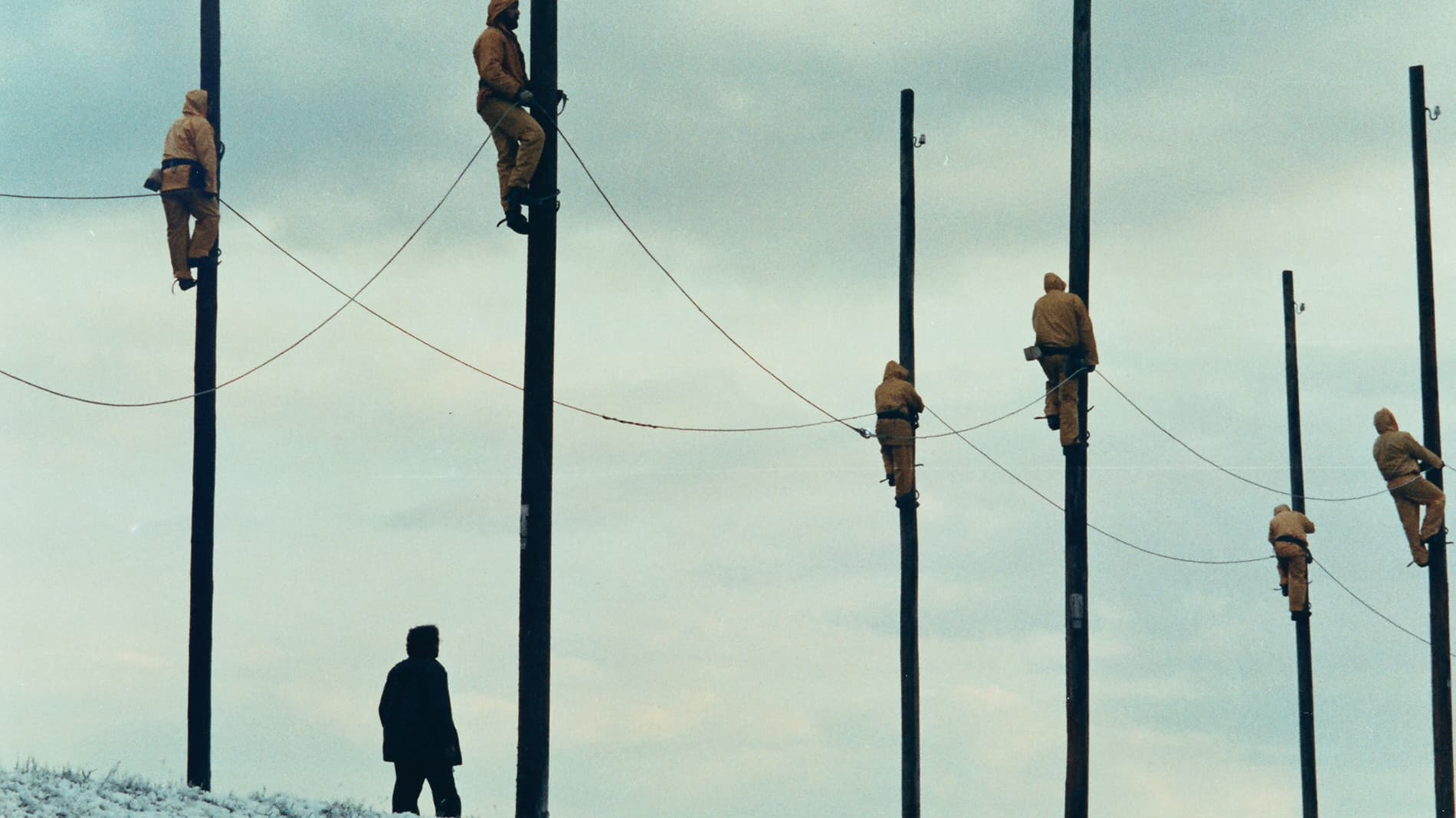 Der schwebende Schritt des Storches